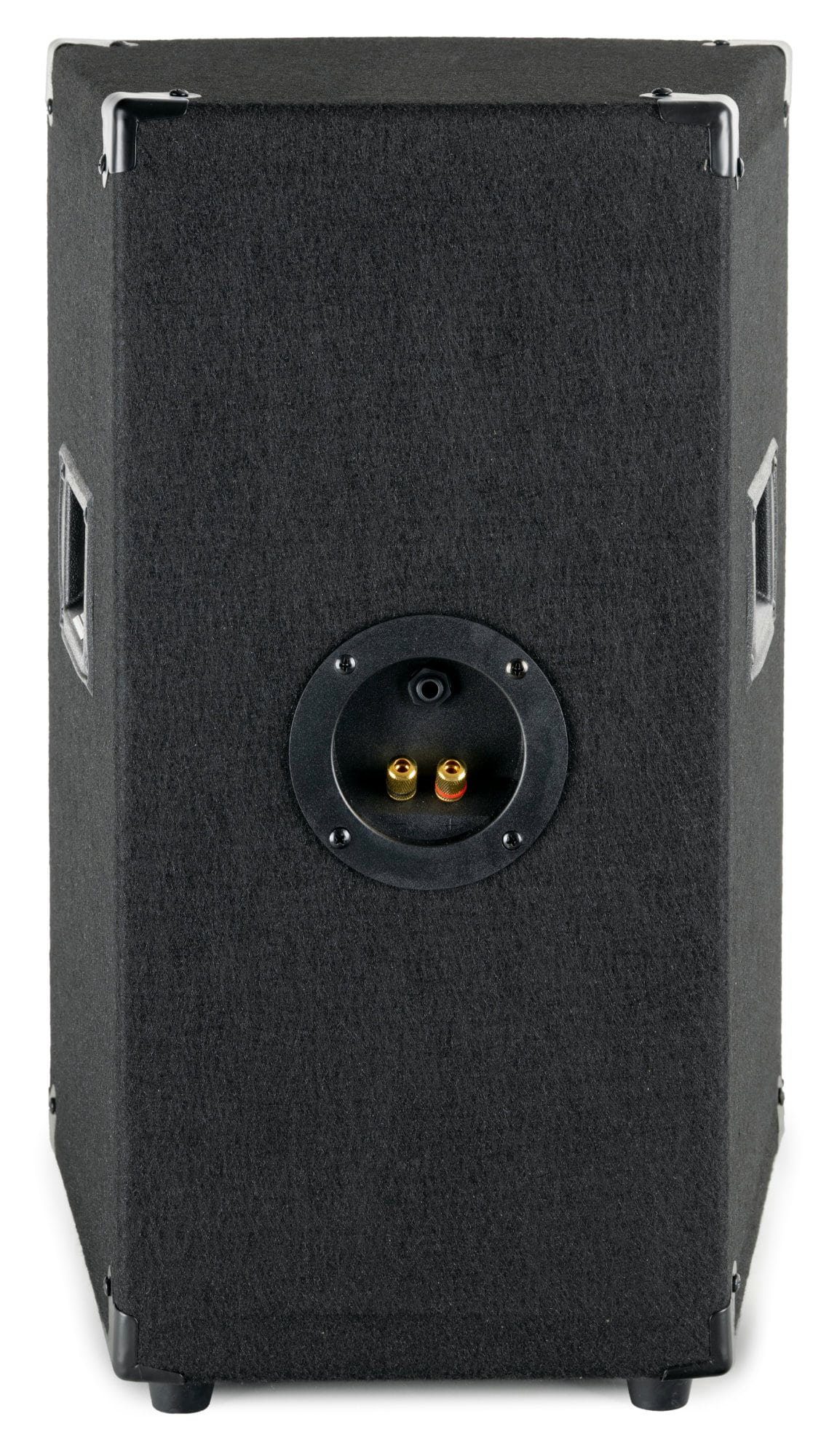 Holzgehäuse 25cm Passiv-Speaker DJ (200 Subwoofer, W, 2-Wege mit Lautsprecher System, (10) Box TP-10 PA Boxenflansch) McGrey