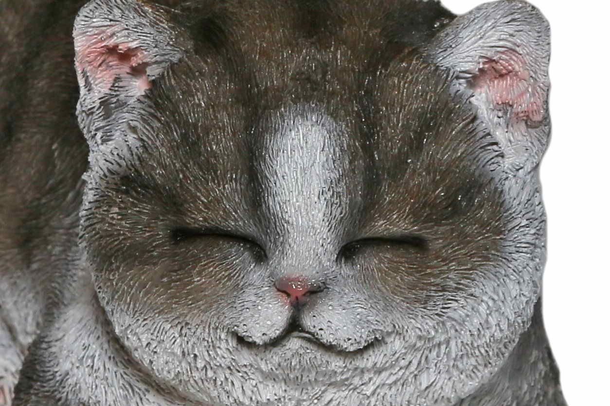 Polyresin Jänig Tierfigur, Katze Dekofigur Tierfigur Casa schläft, Katze, Collection by aus