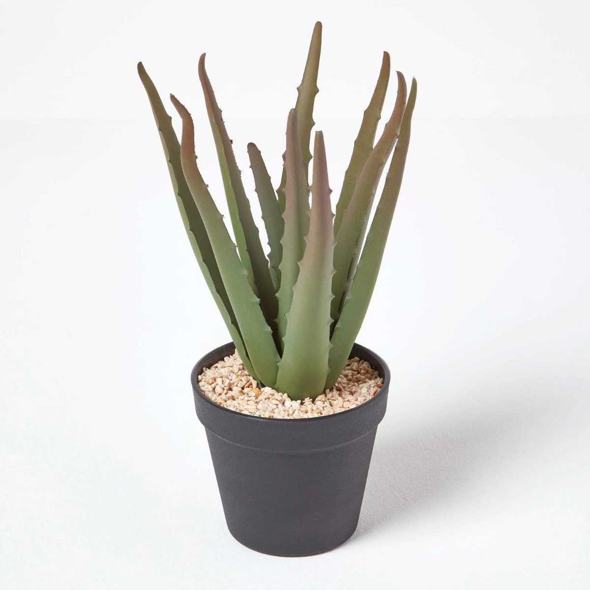 Kunstpflanze Klein Künstliche Echte Aloe Vera in schwarzem Topf, 30 cm hoch