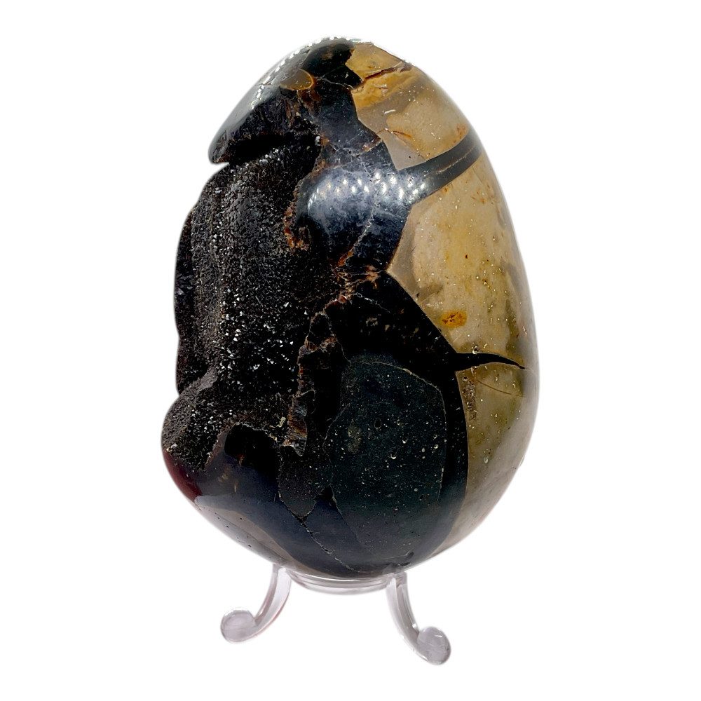 Steinfixx® Edelstein Septarien Edelstein 8x8x12 cm 1220gr., (Unikat-Masterpiece, 1-St., Highlight für jeden Raum - Absoluter Blickfang), AAA-Qualität aus Madagaskar