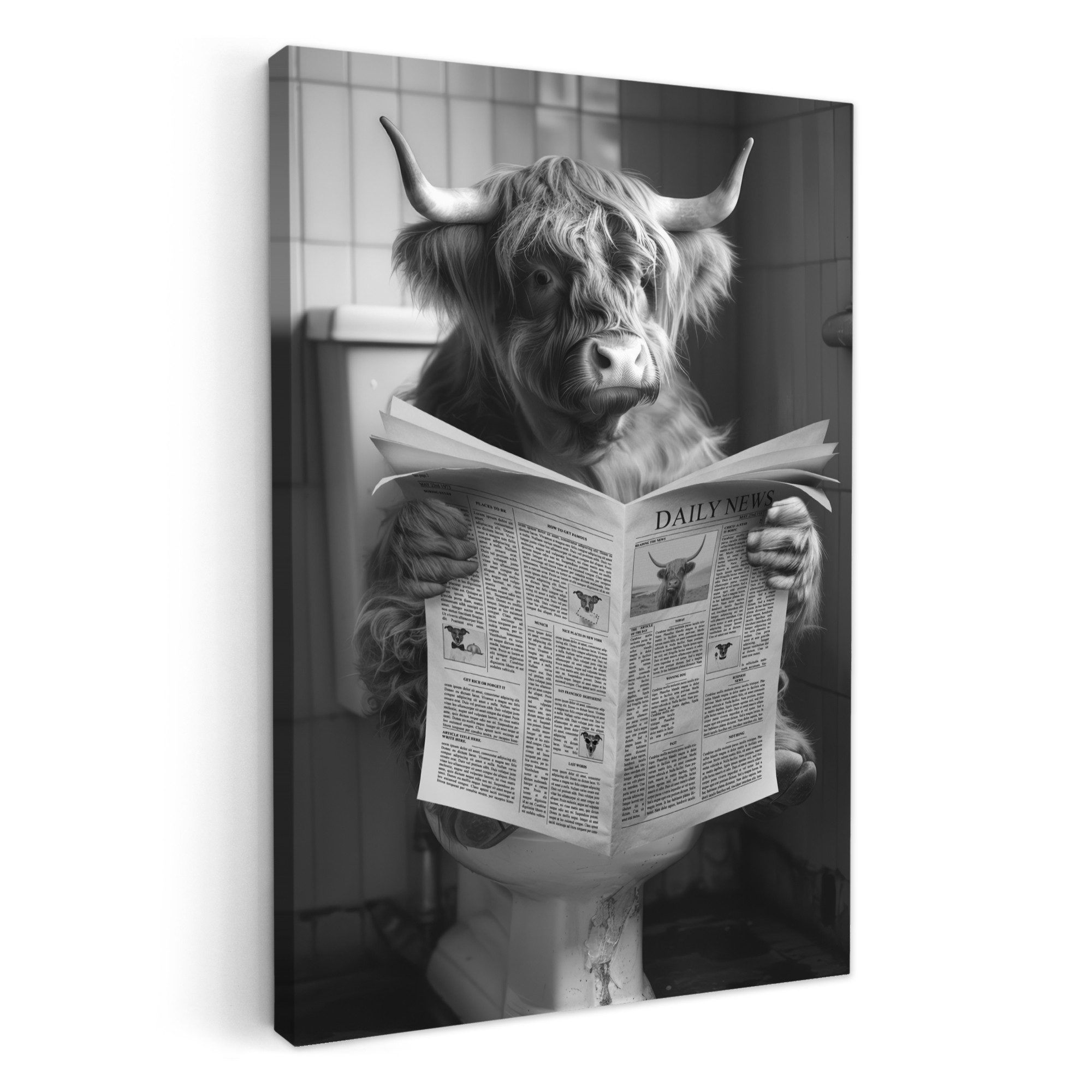 OneMillionCanvasses® Leinwandbild Scottish Highlander - Kuh - Zeitung - WC günstig online kaufen