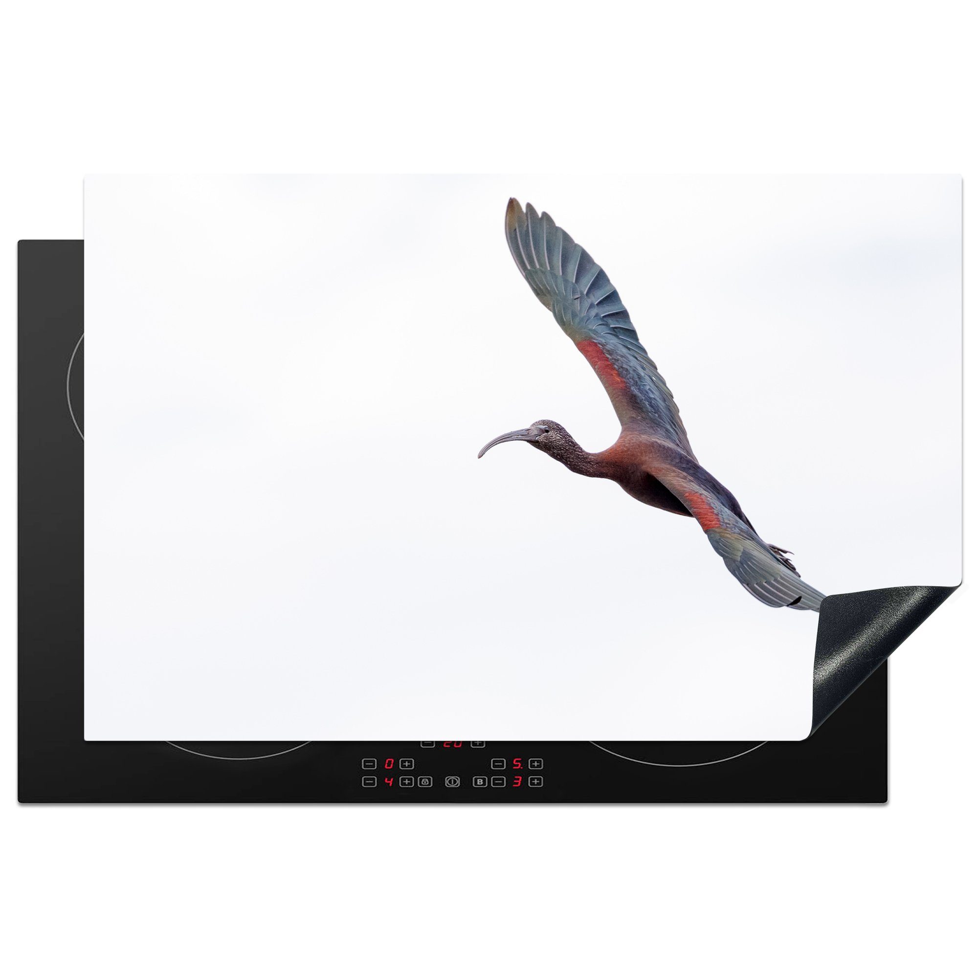 MuchoWow Herdblende-/Abdeckplatte Fliegender Japanischer Haubenibis, Vinyl, (1 tlg), 81x52 cm, Induktionskochfeld Schutz für die küche, Ceranfeldabdeckung