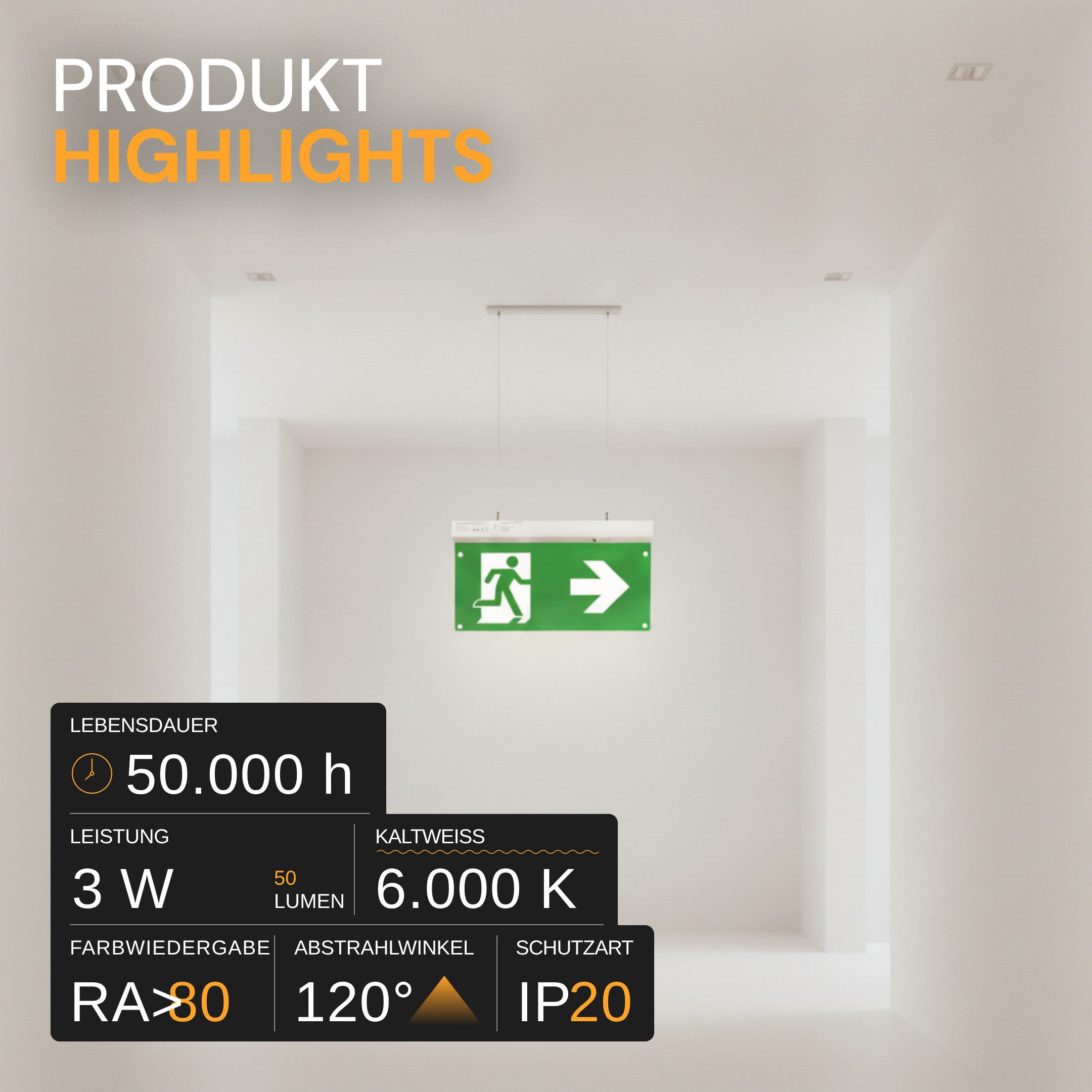 ENOVALITE LED Arbeitsleuchte ENOVALITE Fluchtwegleuchte 3 W 6000 K Kaltweiß Weiß, LED fest integriert, Tageslichtweiß, Fluchtwegleuchte