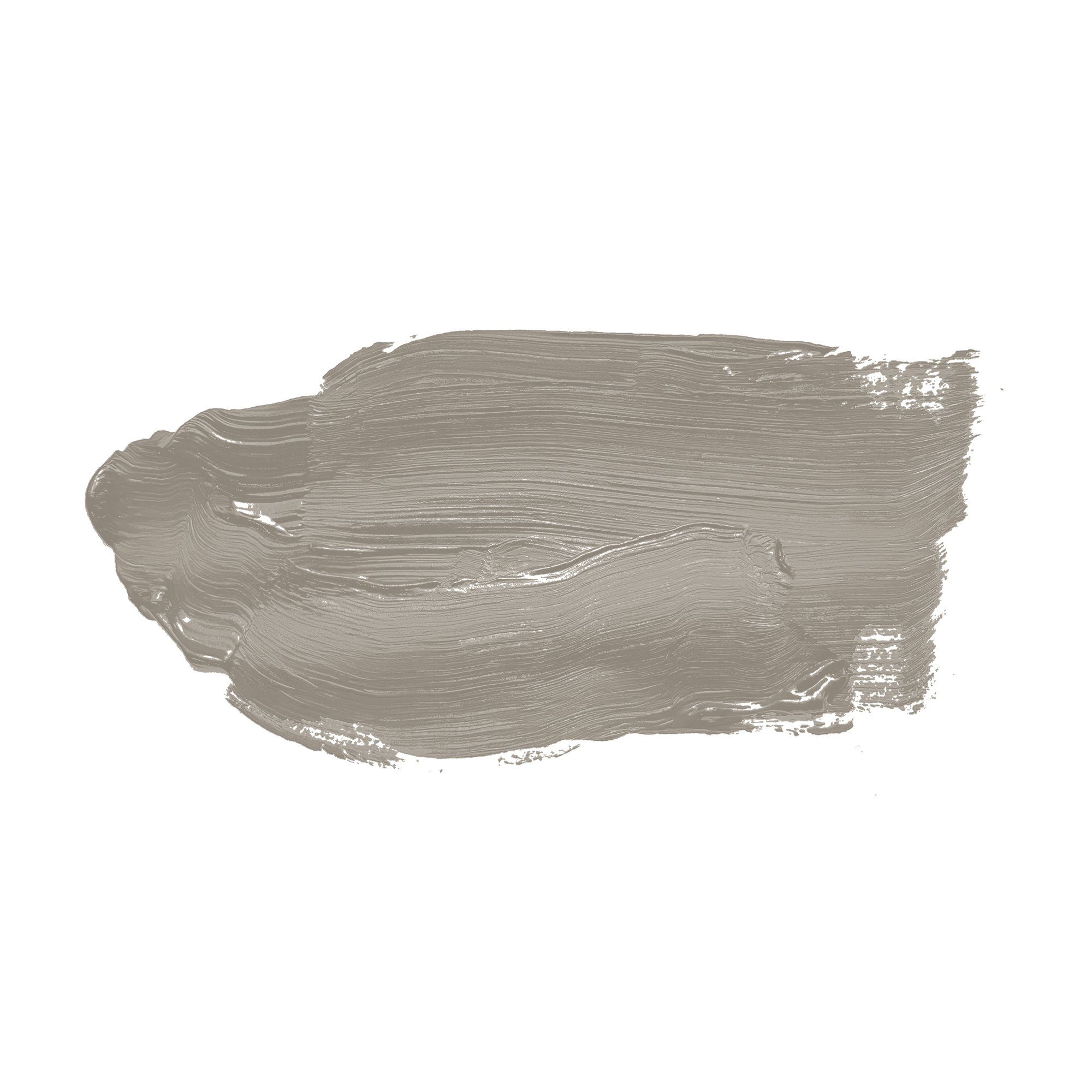 Thumbnail - A.S. Création Wandfarbe, Wand- und Deckenfarbe Seidenmatt Innenfarbe 1019 2,5l Grey Pumpkin