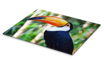 Posterlounge Acrylglasbild Editors Choice, Riesen-Tukan in Brasilien, Fotografie