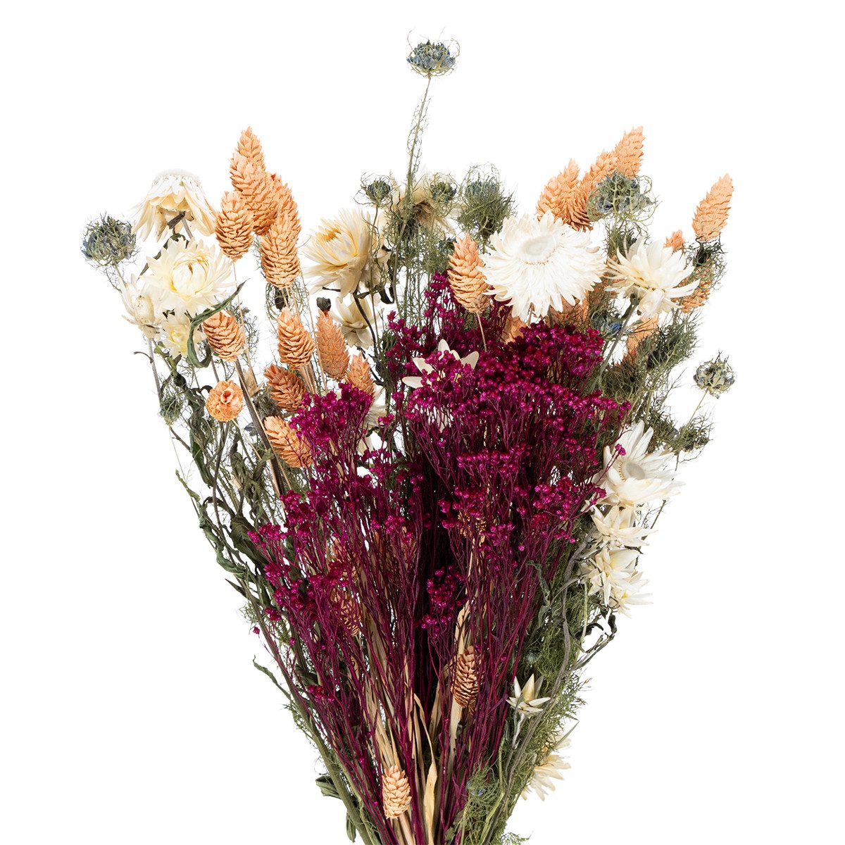 Trockenblume Eleganter Trockenblumenstrauß für zeitlose Dekoration und, Florists Products, Höhe 50 cm