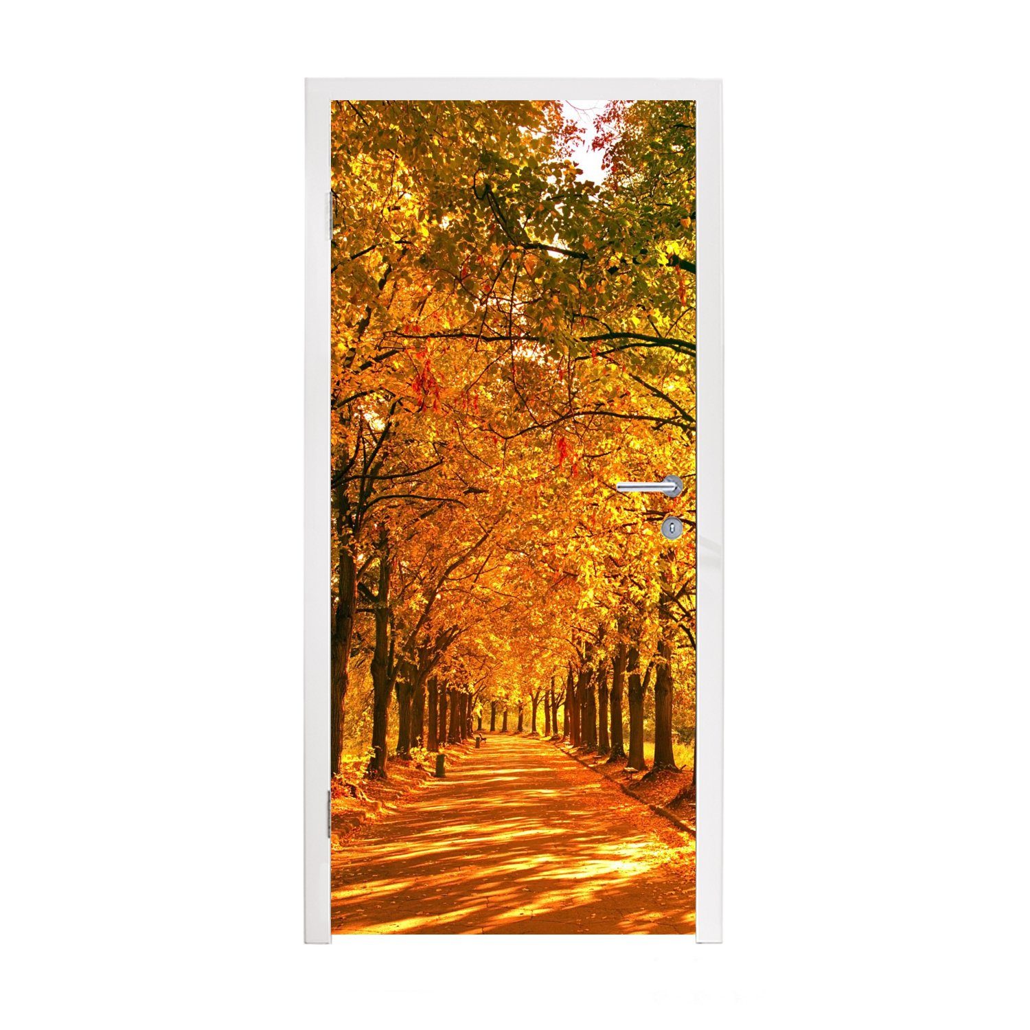 MuchoWow Türtapete Wald - Herbst - Jahreszeiten - Ländlich, Matt, bedruckt, (1 St), Fototapete für Tür, Türaufkleber, 75x205 cm