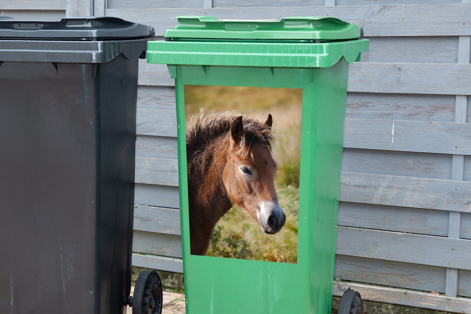 Porträt Pferd (1 - Sticker, Container, Wandsticker - Pony MuchoWow Mülltonne, Abfalbehälter St), Mülleimer-aufkleber,