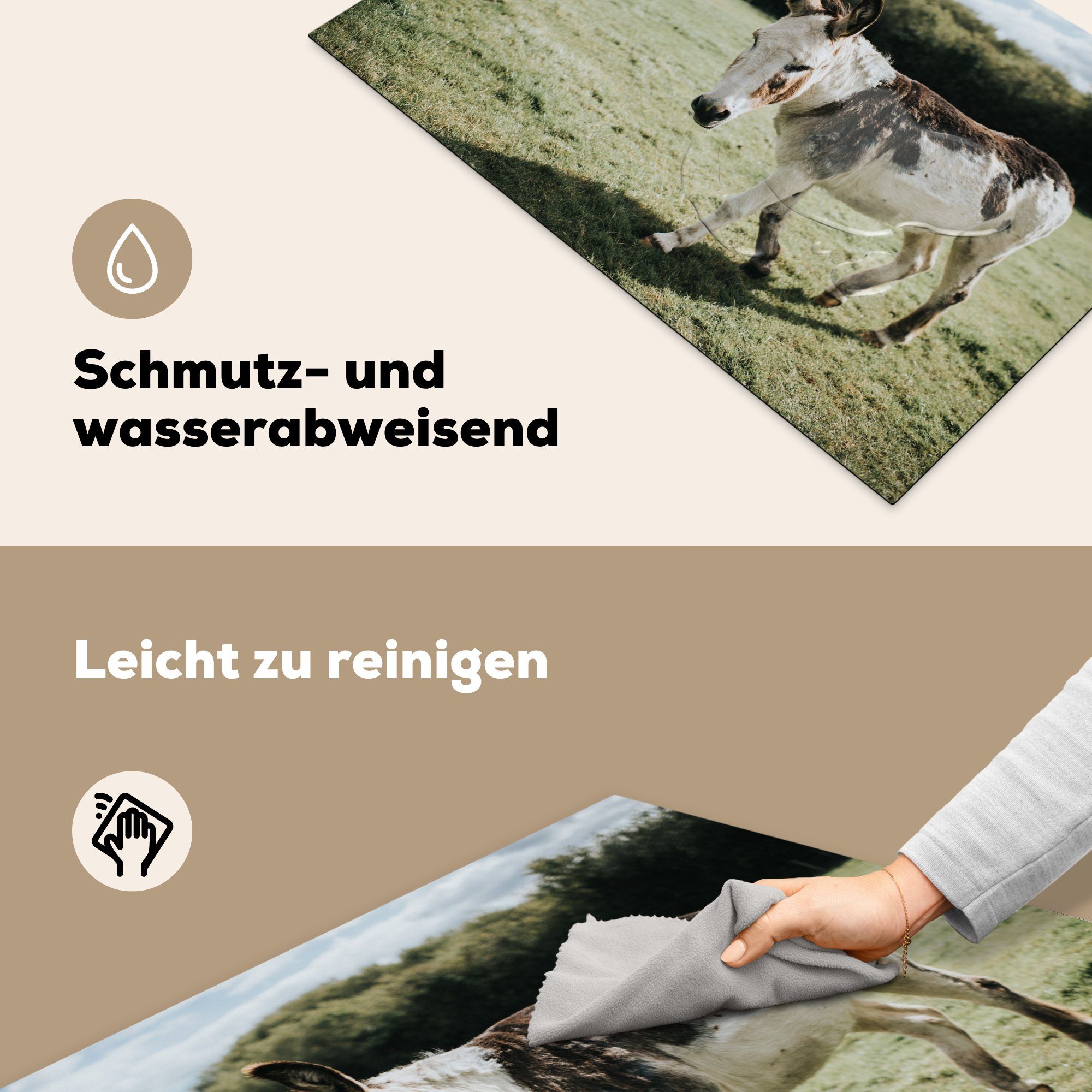 MuchoWow Herdblende-/Abdeckplatte Esel (1 cm, tlg), die für Vinyl, Induktionskochfeld im Ceranfeldabdeckung Schutz küche, Grasland, 81x52