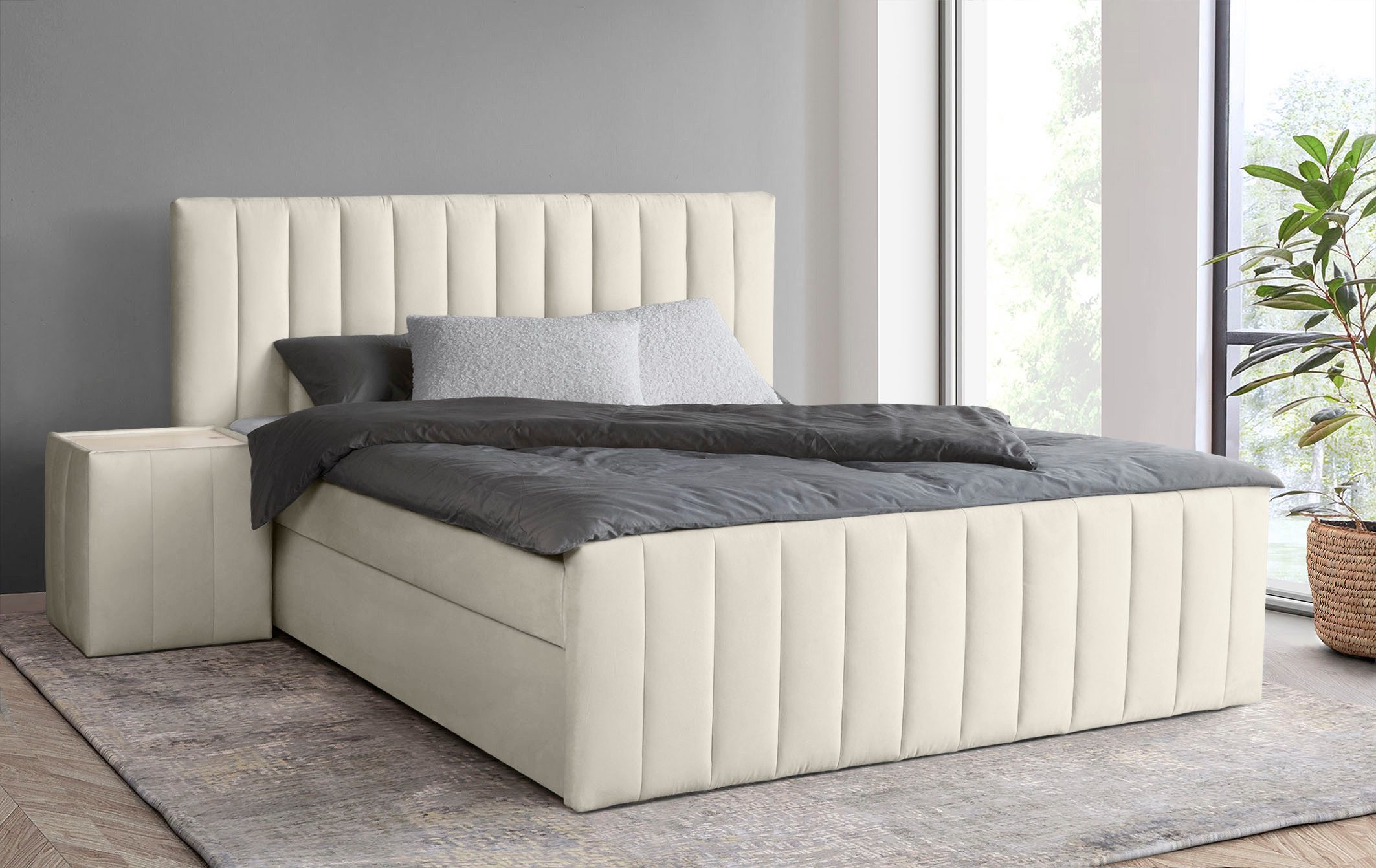 INOSIGN Boxbett Effy inkl. Bettkasten und Topper, erhältlich in der Breite 180x200cm, verschiedene Härtegrade wählbar