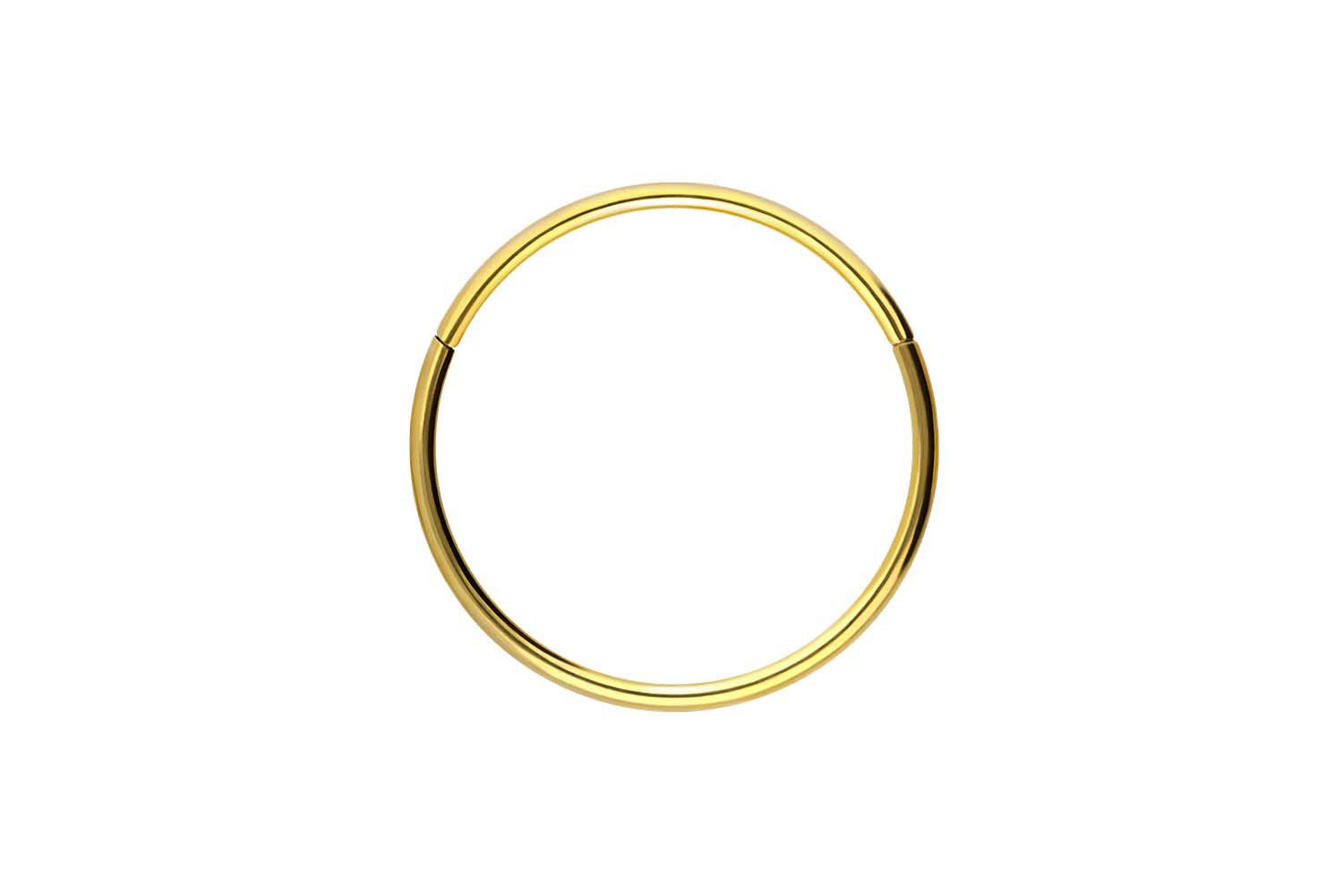 PIERCINGLINE Nasenpiercing Titan Segmentring Clicker Ohrpiercing Septum Nas günstig online kaufen