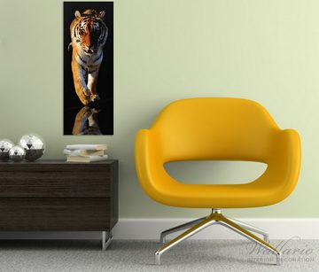 Wallario Glasbild, Laufender Tiger, in verschiedenen Ausführungen