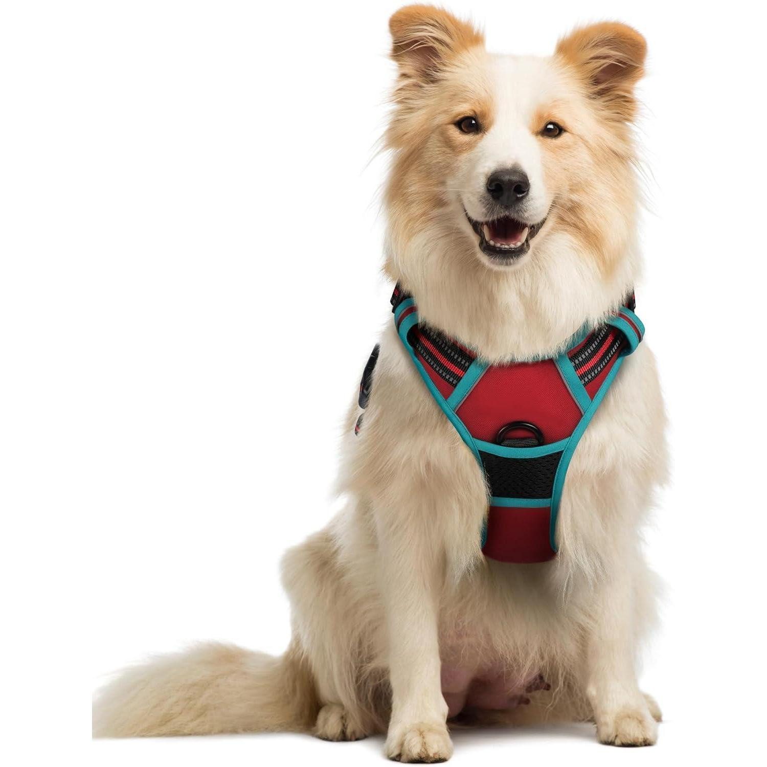 LuxusKollektion Hunde-Sicherheitsgeschirr Hundegeschirr NoPull Verstellbar Brustgeschirr Rot Blaugrün M 1er Pack