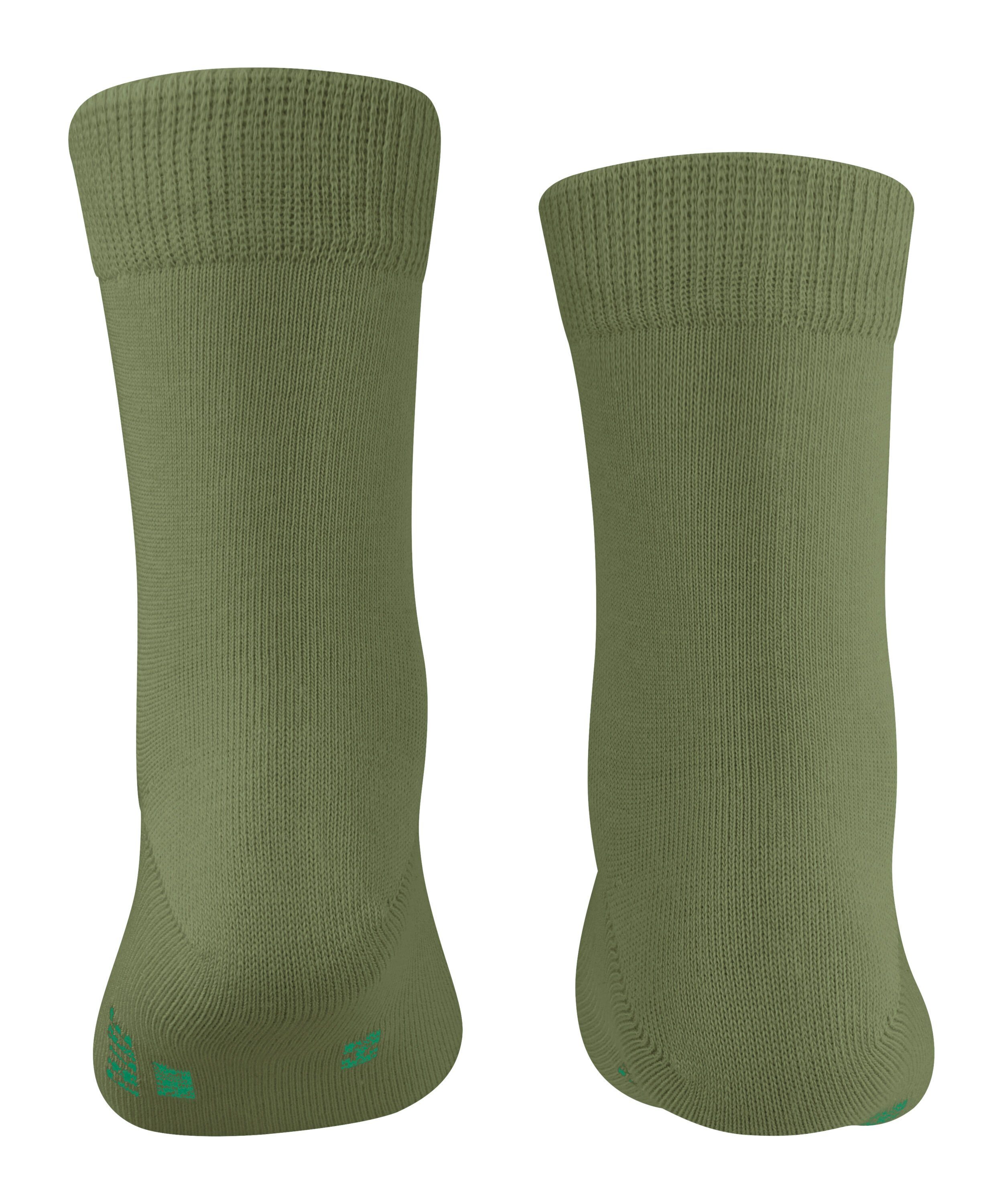 green (1-Paar) (7681) FALKE Socken sern Family