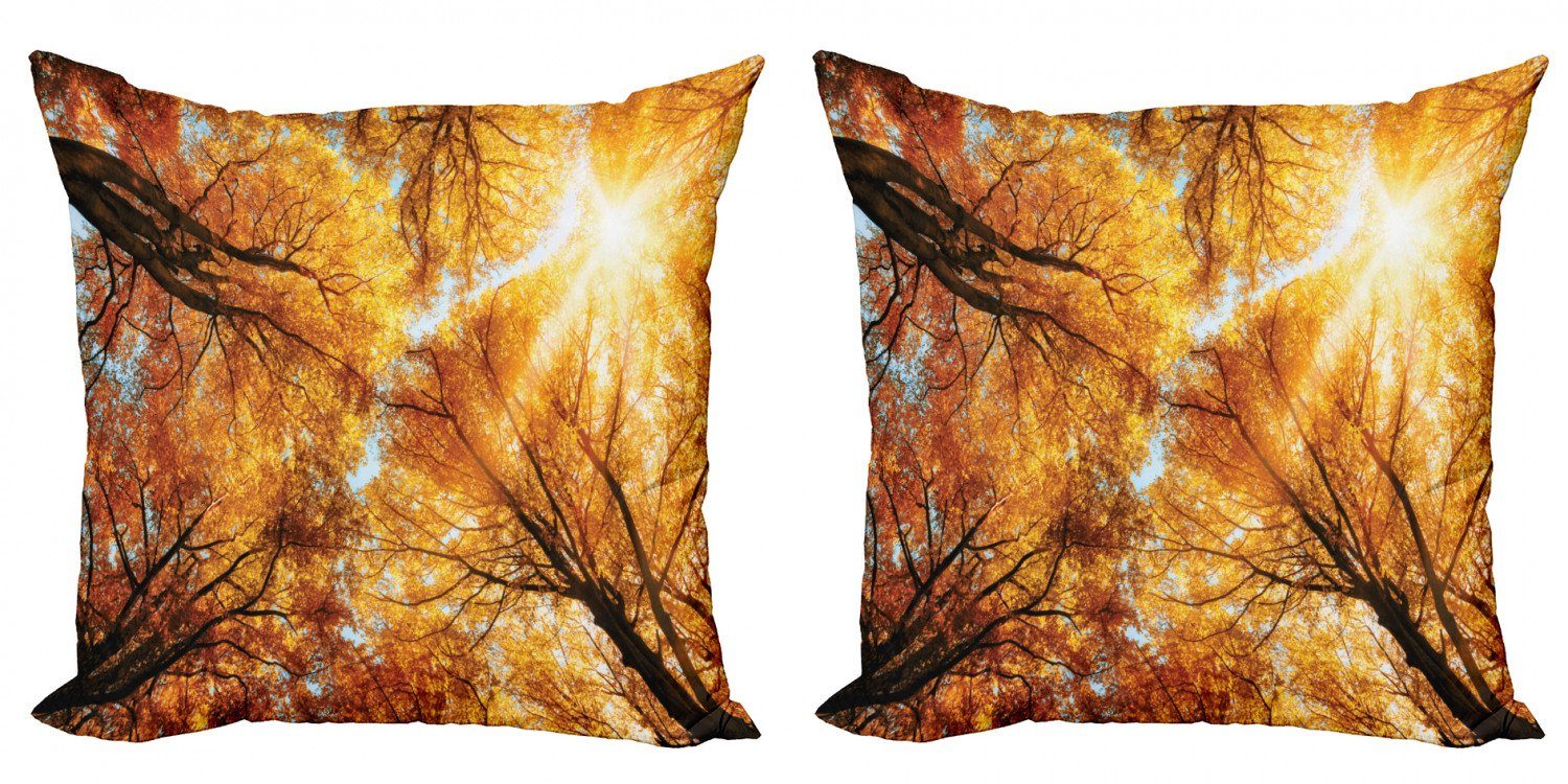 Kissenbezüge Modern Accent Doppelseitiger Digitaldruck, Abakuhaus (2 Stück), Baum Autumn Sunbeams Wald