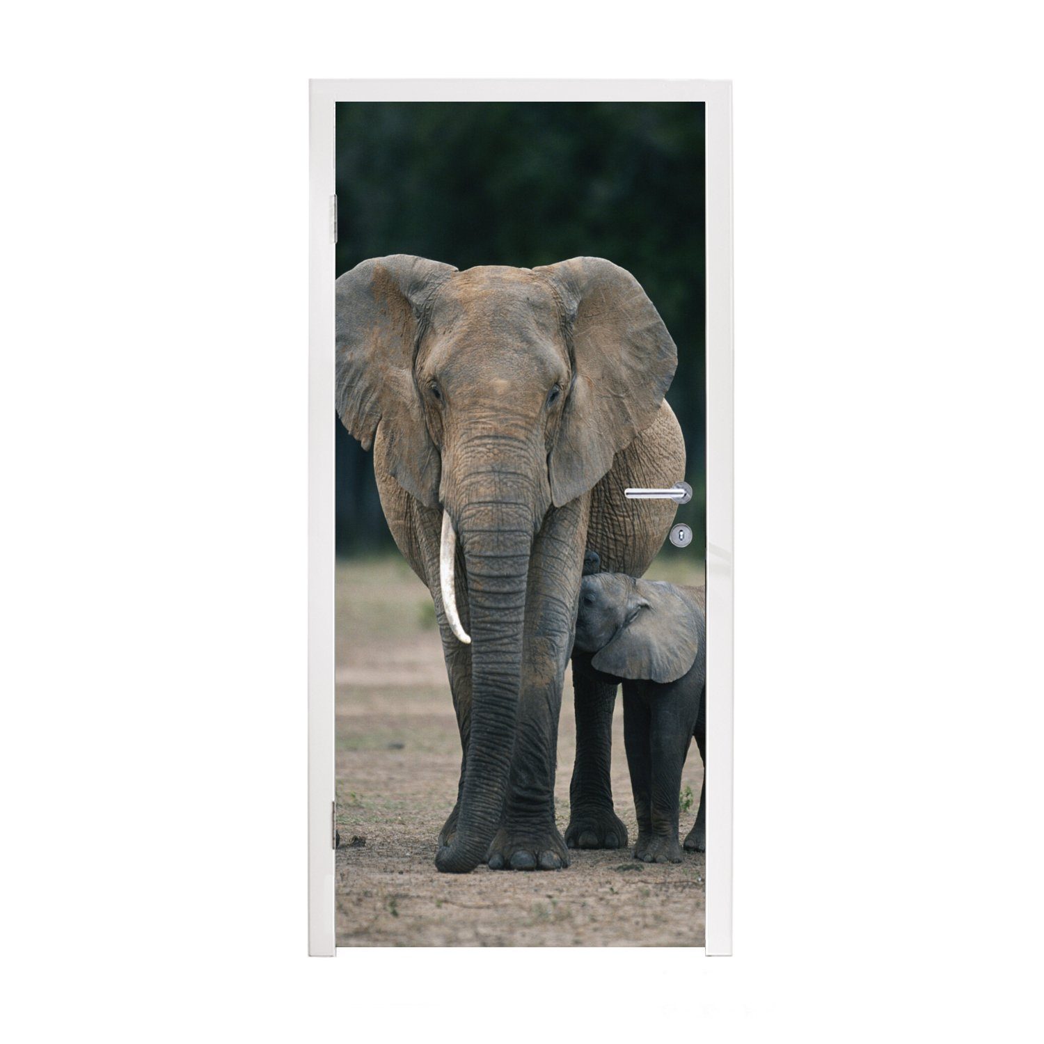 MuchoWow Türtapete Elefant - Tiere - Flachland - Natur, Matt, bedruckt, (1 St), Fototapete für Tür, Türaufkleber, 75x205 cm