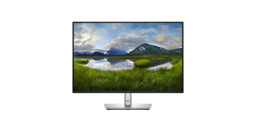 Dell Dell P2425 TFT-Monitor (1920 x 1200, 8 ms Reaktionszeit, 100 Hz, IPS Panel)