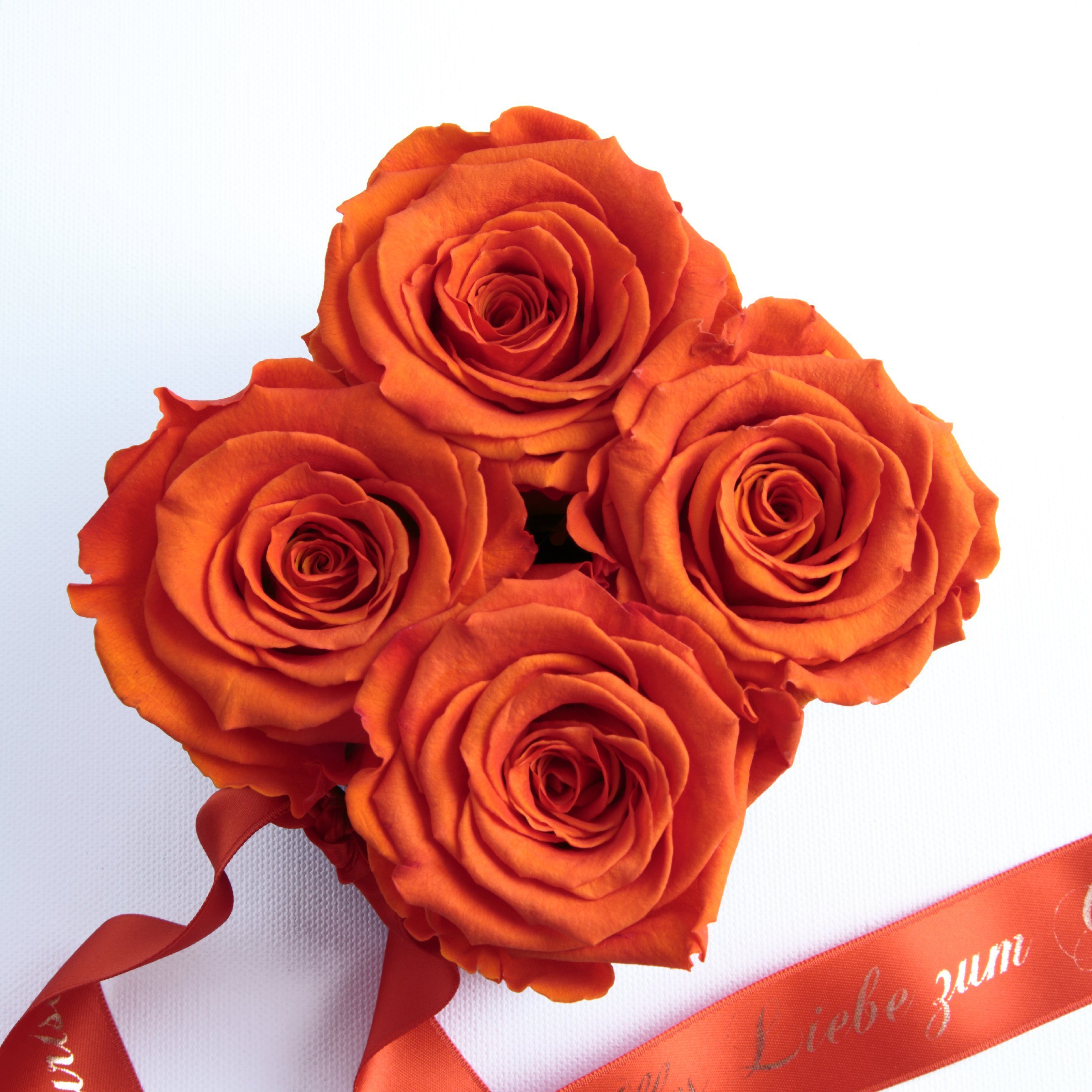 SCHULZ Liebe St), ROSEMARIE echte Rosenbox Frauen Dekoobjekt Echte Geburtstag Heidelberg Geschenk Orange Alles konservierte (1 für zum Rosen Rosen