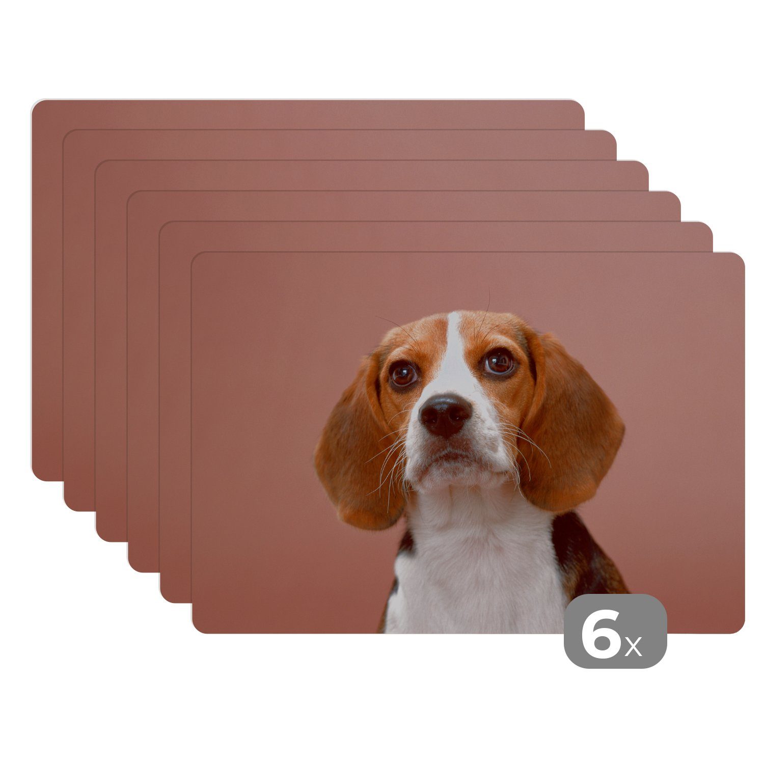 Platzset, Ein süßer Beagle schaut in die Kamera, MuchoWow, (6-St), Platzset, Platzdecken, Platzmatte, Tischmatten, Schmutzabweisend