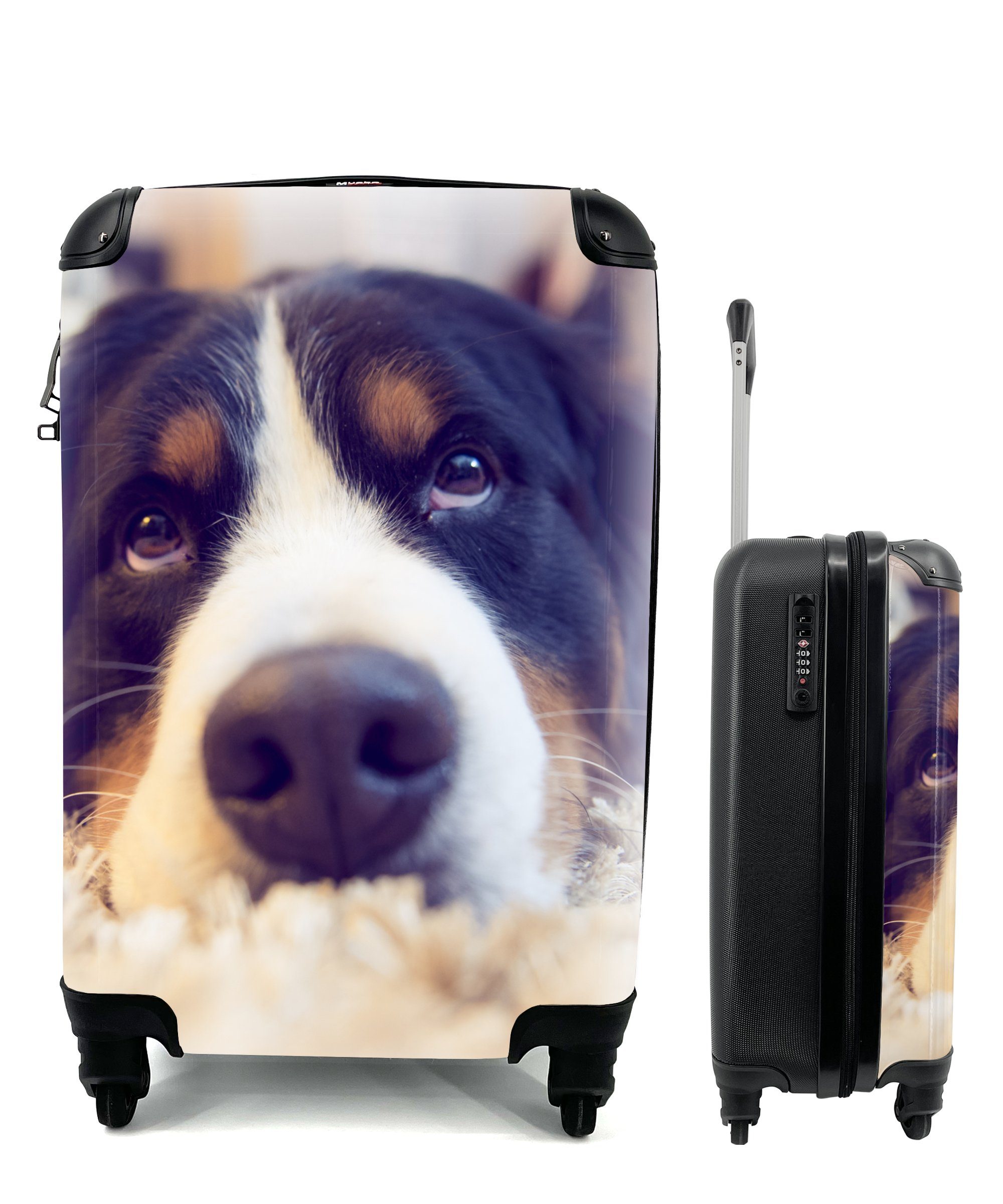 MuchoWow Handgepäckkoffer Berner Sennenhund auf einem weichen Teppich liegend, 4 Rollen, Reisetasche mit rollen, Handgepäck für Ferien, Trolley, Reisekoffer