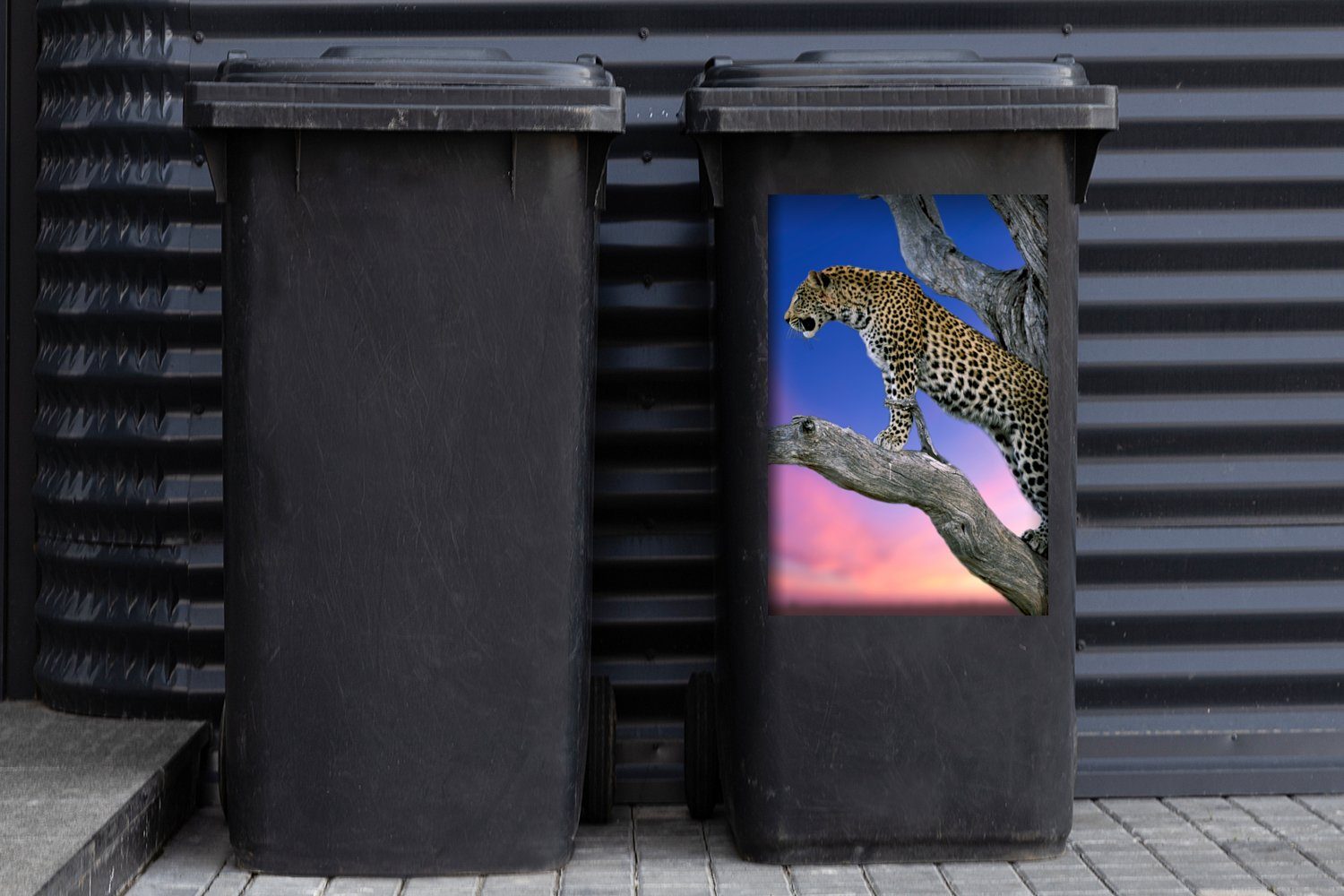 Container, Abfalbehälter - Baum Mülleimer-aufkleber, Leopard Mülltonne, Wandsticker St), MuchoWow Sticker, Zweig (1 -