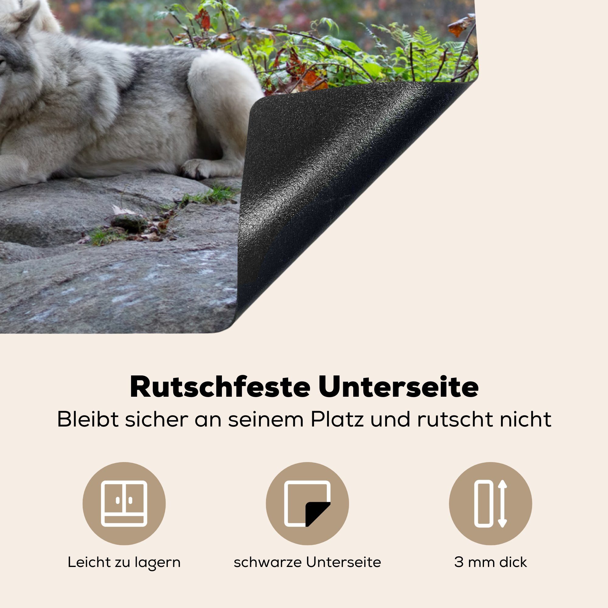 MuchoWow Herdblende-/Abdeckplatte Wolf - Herbst tlg), 81x52 - küche, Schutz für Induktionskochfeld cm, Vinyl, Wald, (1 Ceranfeldabdeckung die