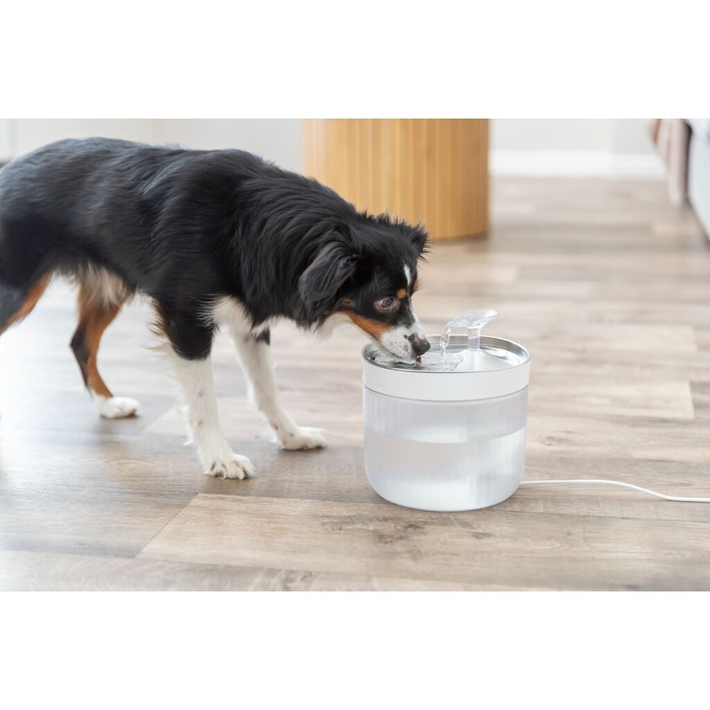 TRIXIE Hundekrawatte Aqua Clear runder Trinkbrunnen für Hunde mit Edelstahltrinkschale - we, Kunststoff/ Edelstahl