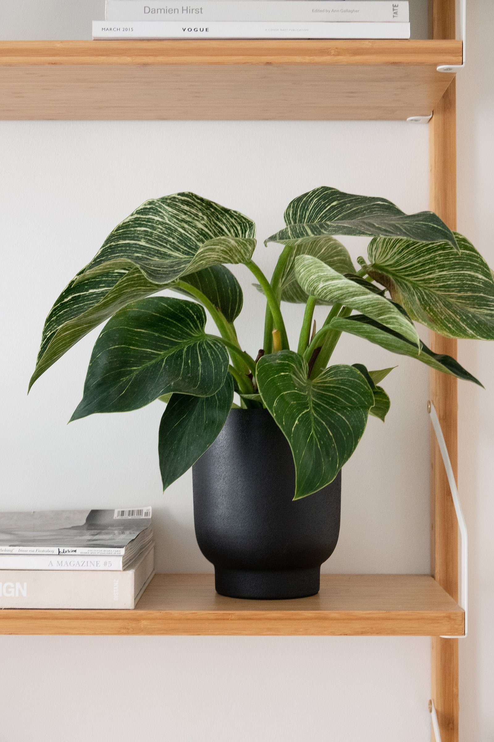 LaLe Living Übertopf Blumentopf 2er Set Ayaz in Schwarz, Ø13/15 cm (2 St)