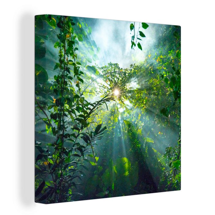 OneMillionCanvasses® Leinwandbild Sonnenlicht scheint auf eine Höhle im Regenwald von Malaysia (1 St) Leinwand Bilder für Wohnzimmer Schlafzimmer AV10497