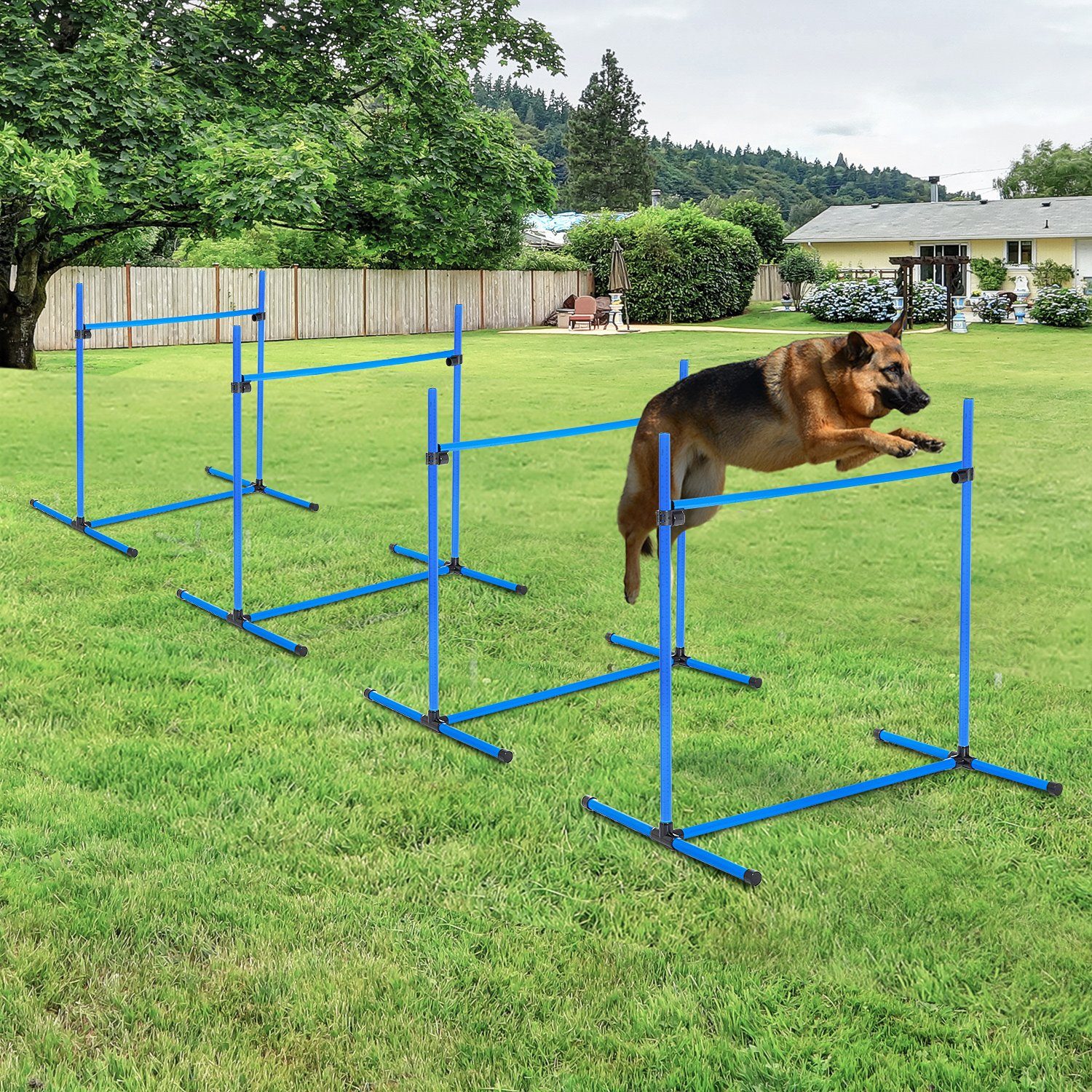 PawHut Agility-Hürde Inkl. Tragetasche für einfache Aufbewahrung, Kunststoff, Hunde Препятствия-Set (4-tlg) für Hunde, Blau