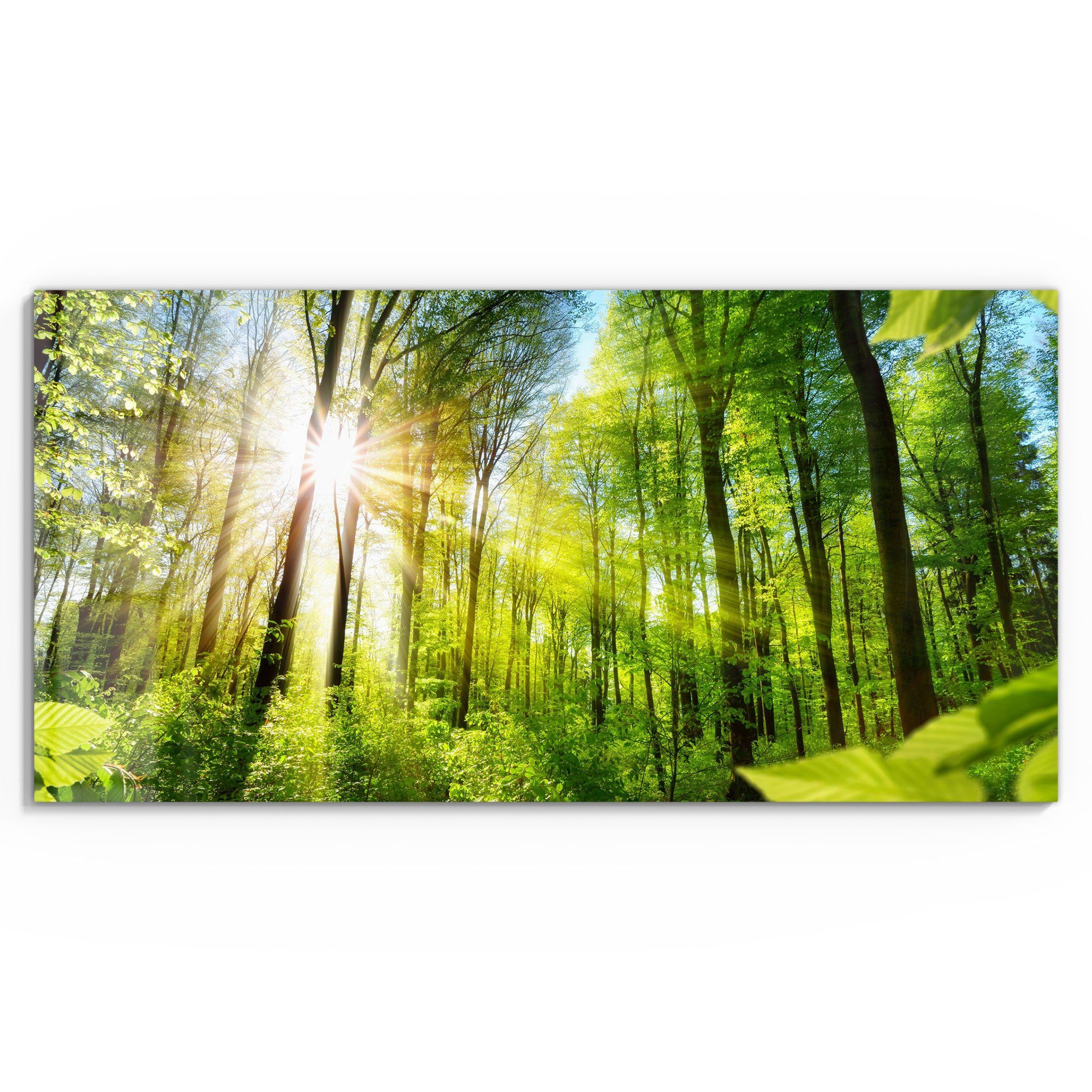 DEQORI Glasbild 'Licht durchdringt Bäume', 'Licht günstig online kaufen