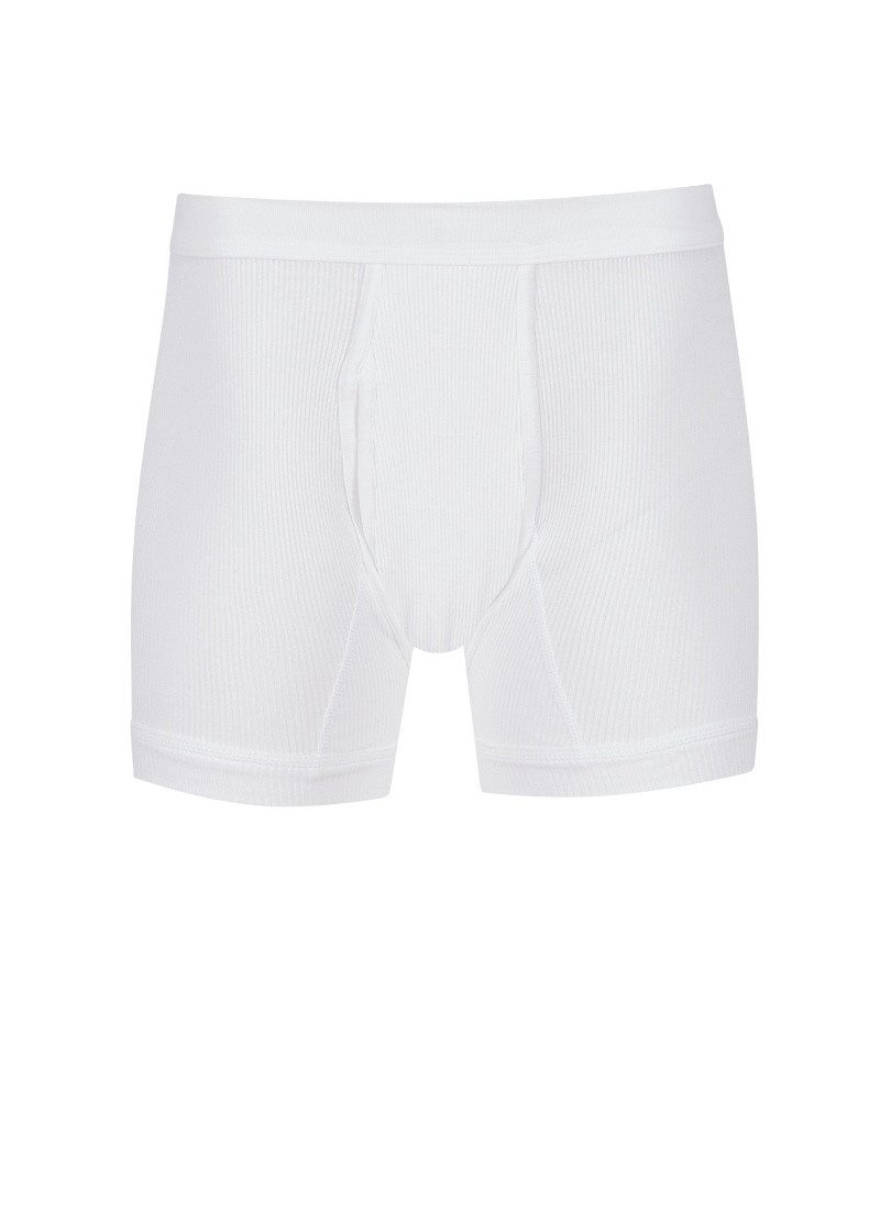 Trigema Schlüpfer TRIGEMA Unterhose Doppelripp im Doppelpack (2-St)