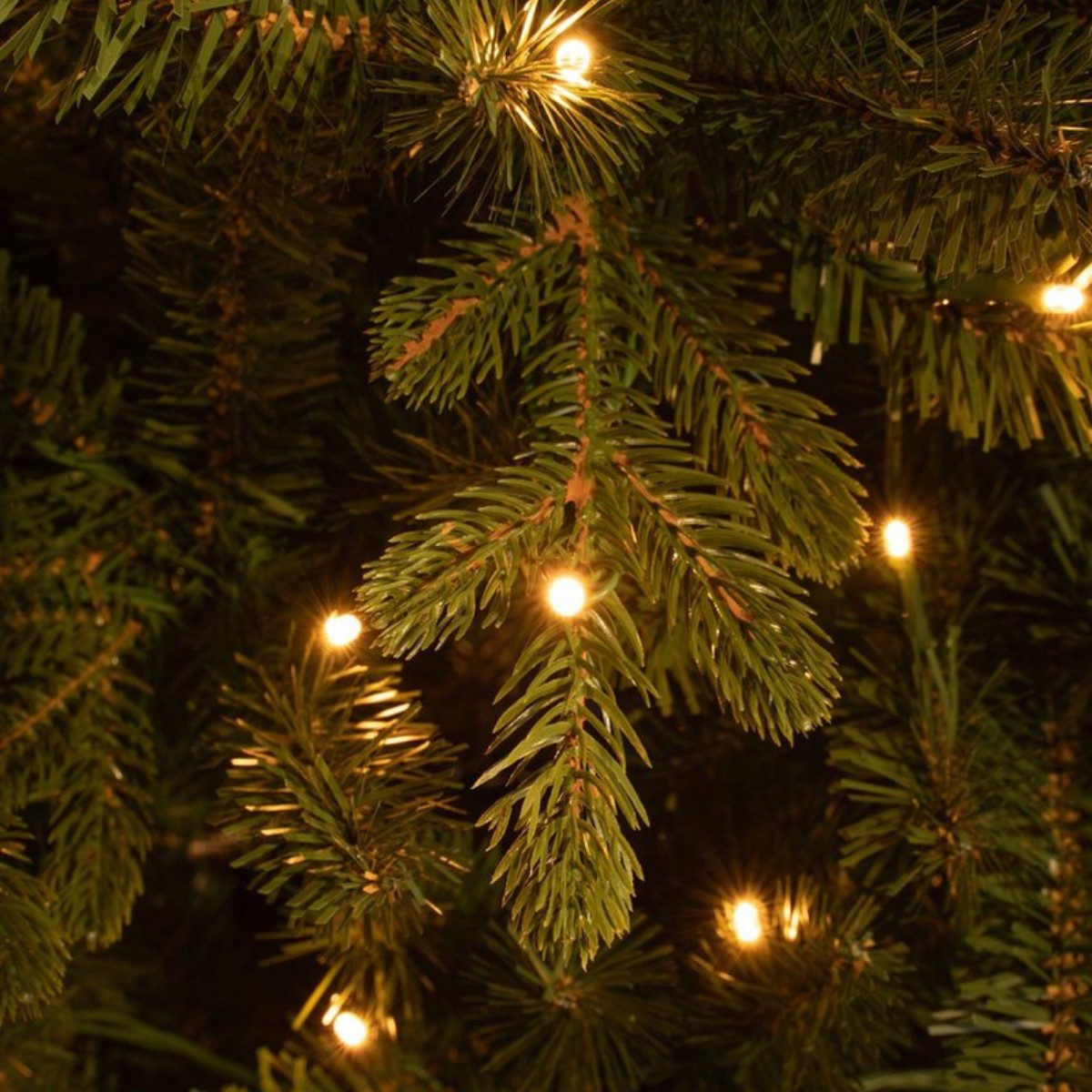 Black Box Trees Künstlicher Weihnachtsbaum Black Box Trees Harma Pilar Weihnachtsbaum led gruen warm weiss 300L T
