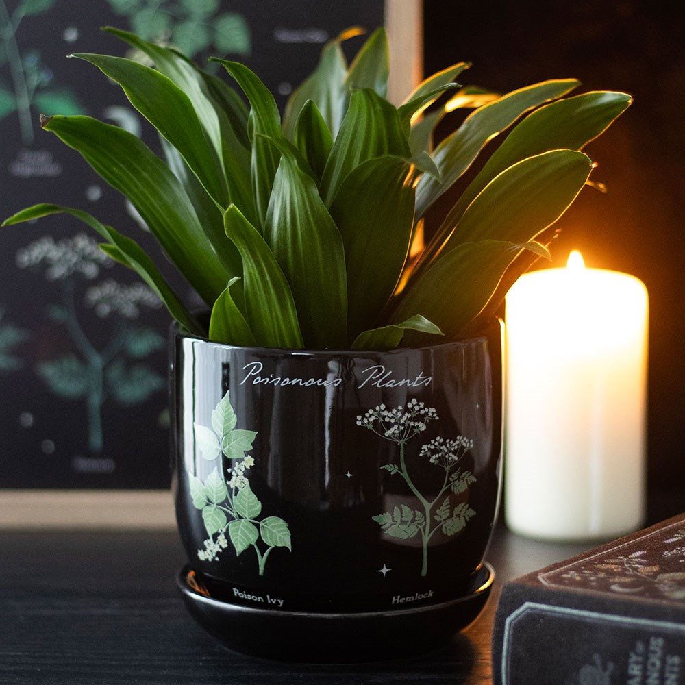 Something Different Blumentopf Giftige Pflanzen Blumentopf Gothic Deko