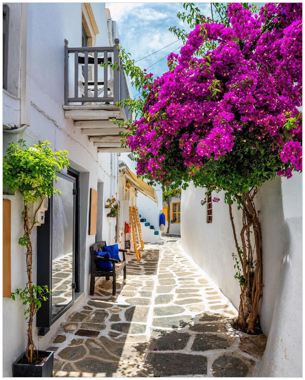 Wallario Poster, Griechische Blütengasse, in verschiedenen Ausführungen