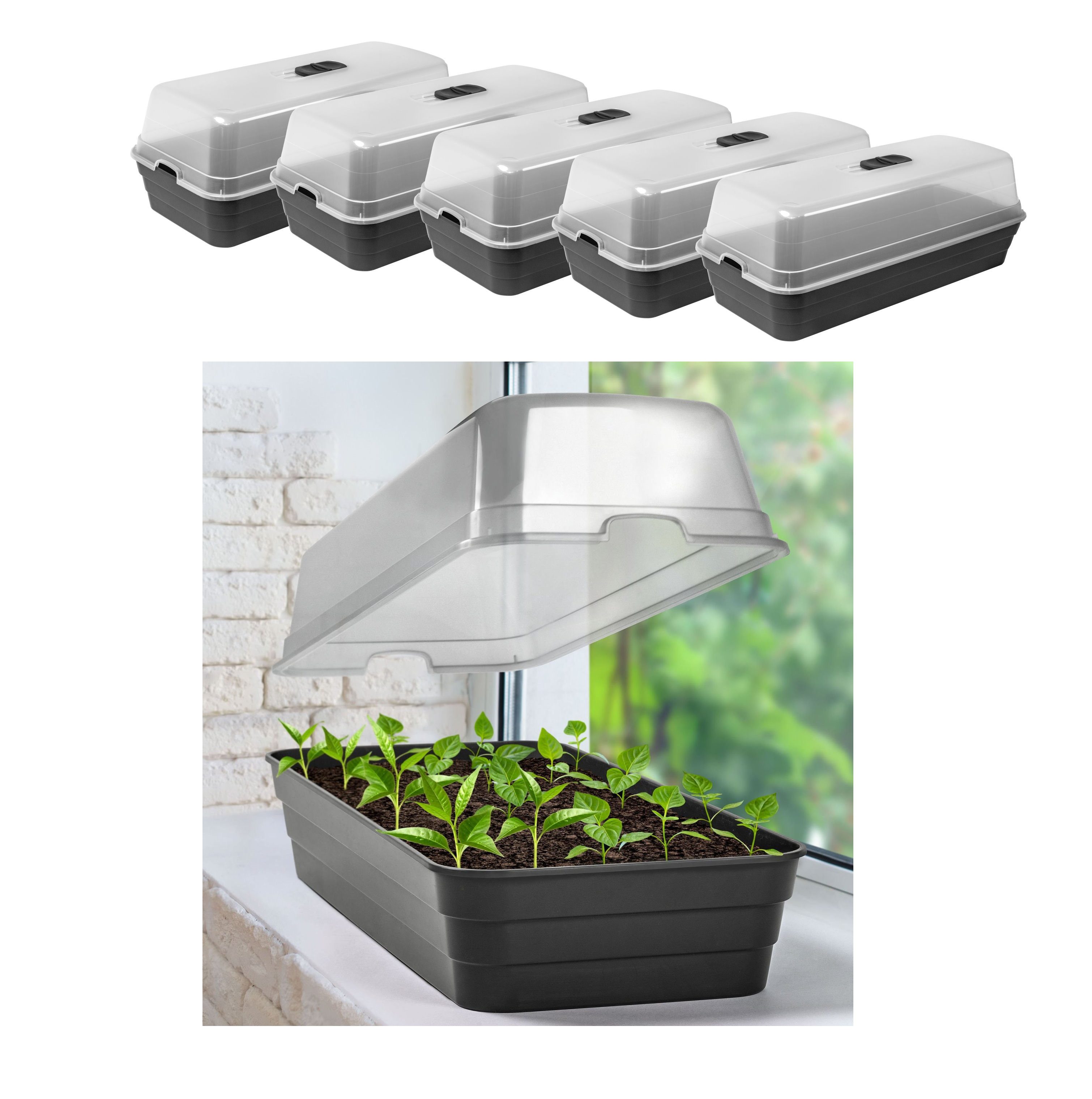 dynamic24 Anzuchttopf mit Deckel Minigewächshaus (5 St), Beet Frühbeet Anzu günstig online kaufen
