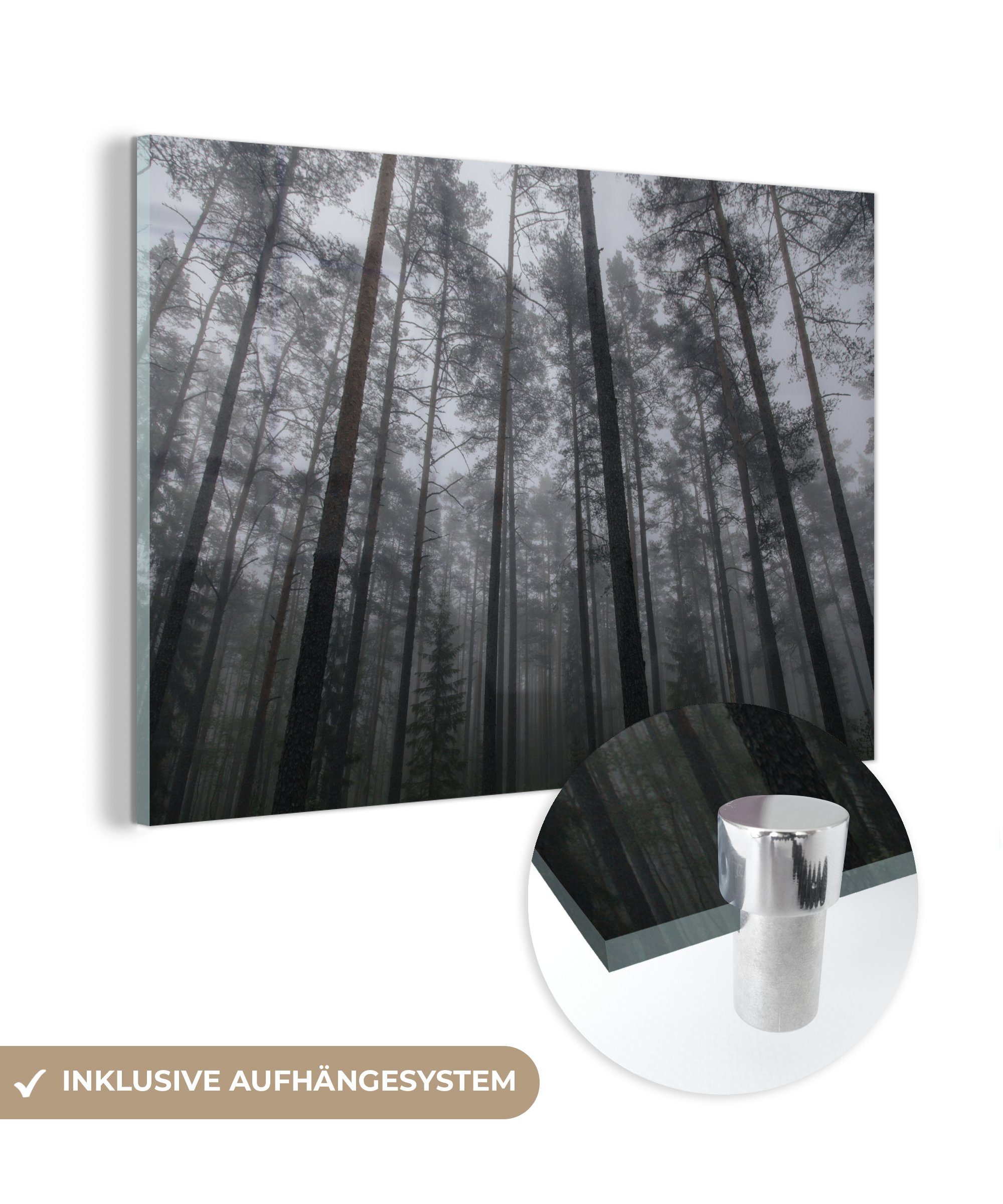 MuchoWow Acrylglasbild Nebel zwischen den hoch aufragenden Bäumen des Lahemaa-Nationalparks, (1 St), Acrylglasbilder Wohnzimmer & Schlafzimmer