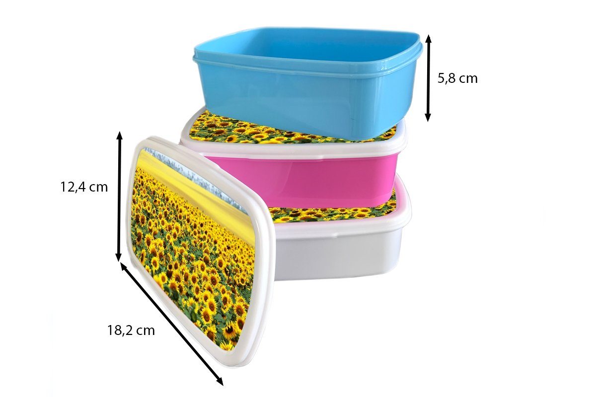 (2-tlg), für Blumen Kinder Erwachsene, Mädchen - Lunchbox Jungs und - Brotdose, Kunststoff, MuchoWow und weiß für Sonnenblume Natur, Brotbox