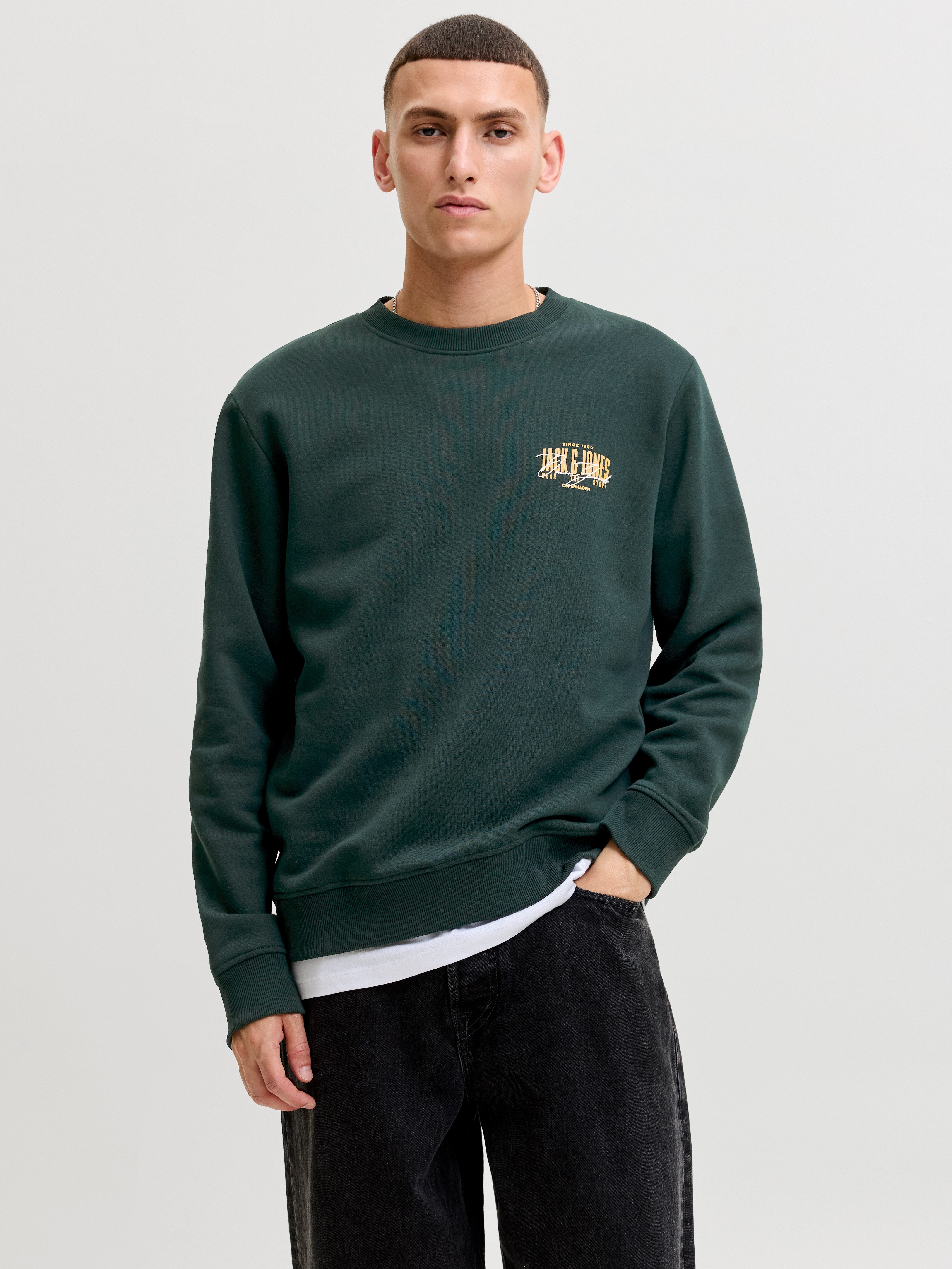 Jack & Jones Sweatshirt JJAERO SWEAT CREW NECK Materialmix, regular fit