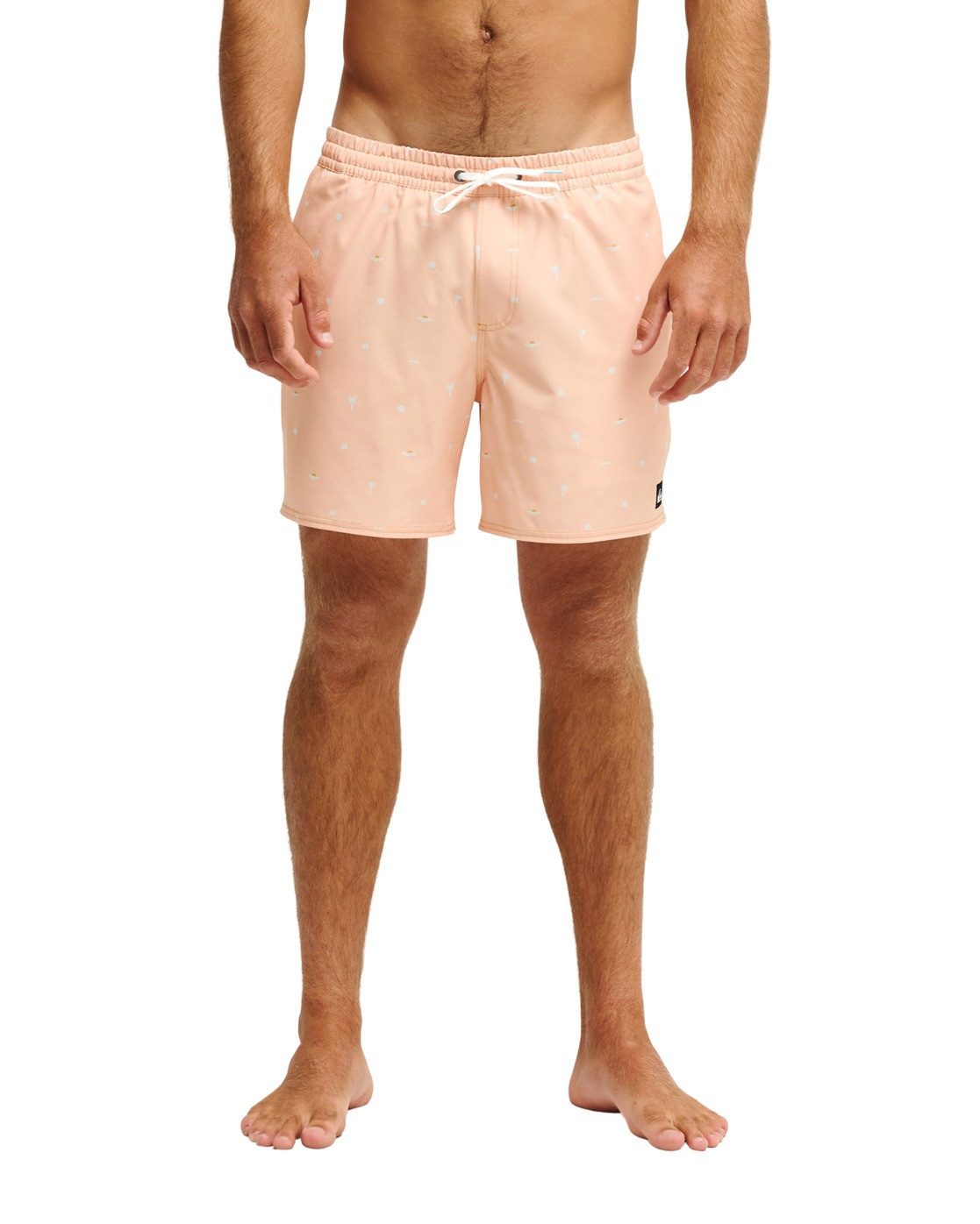 Quiksilver Boardshorts Stretch Printed Volley 16