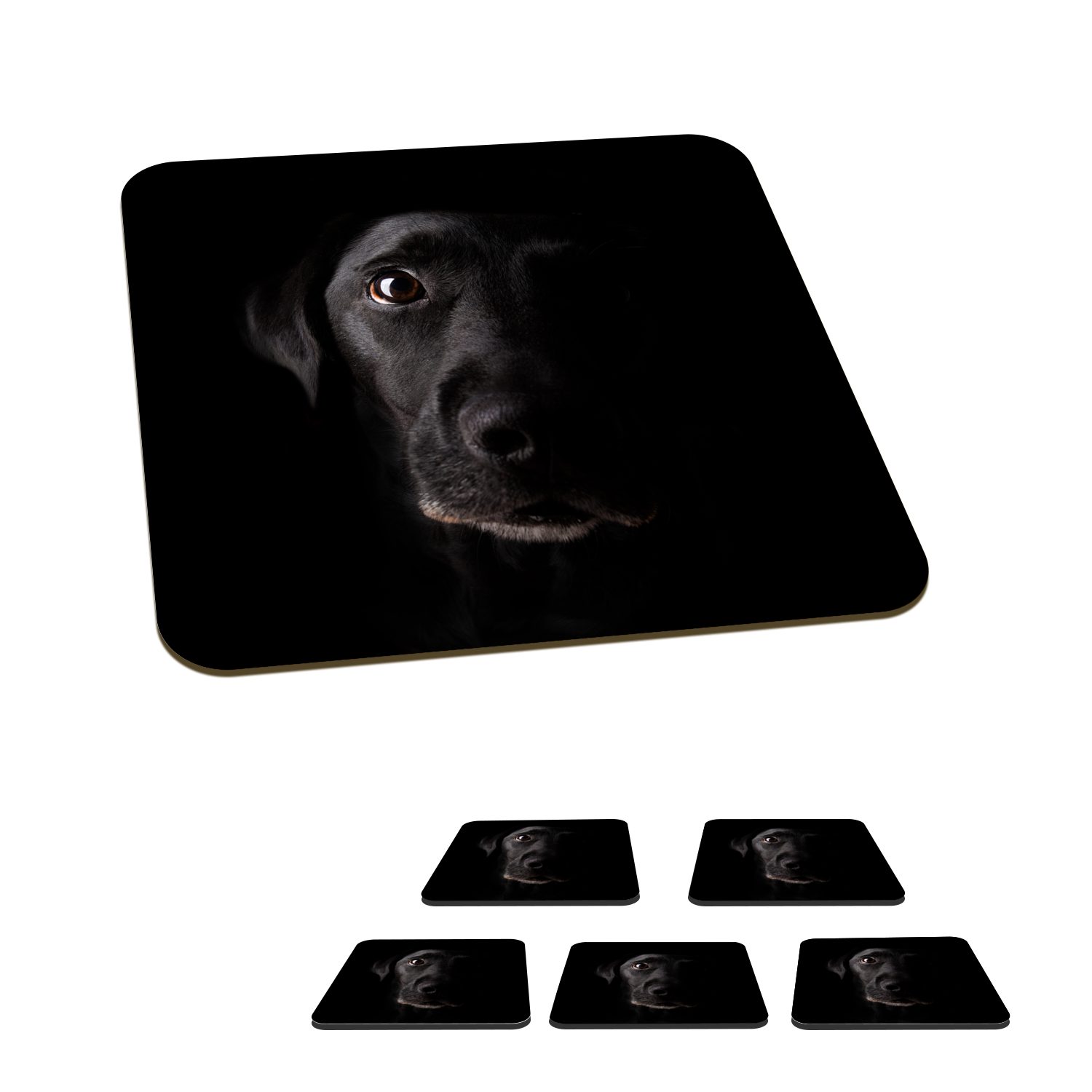 MuchoWow Glasuntersetzer Ein schwarzer Labrador Retriever auf schwarzem Hintergrund, Zubehör für Gläser, 6-tlg., Glasuntersetzer, Tischuntersetzer, Korkuntersetzer, Untersetzer, Tasse