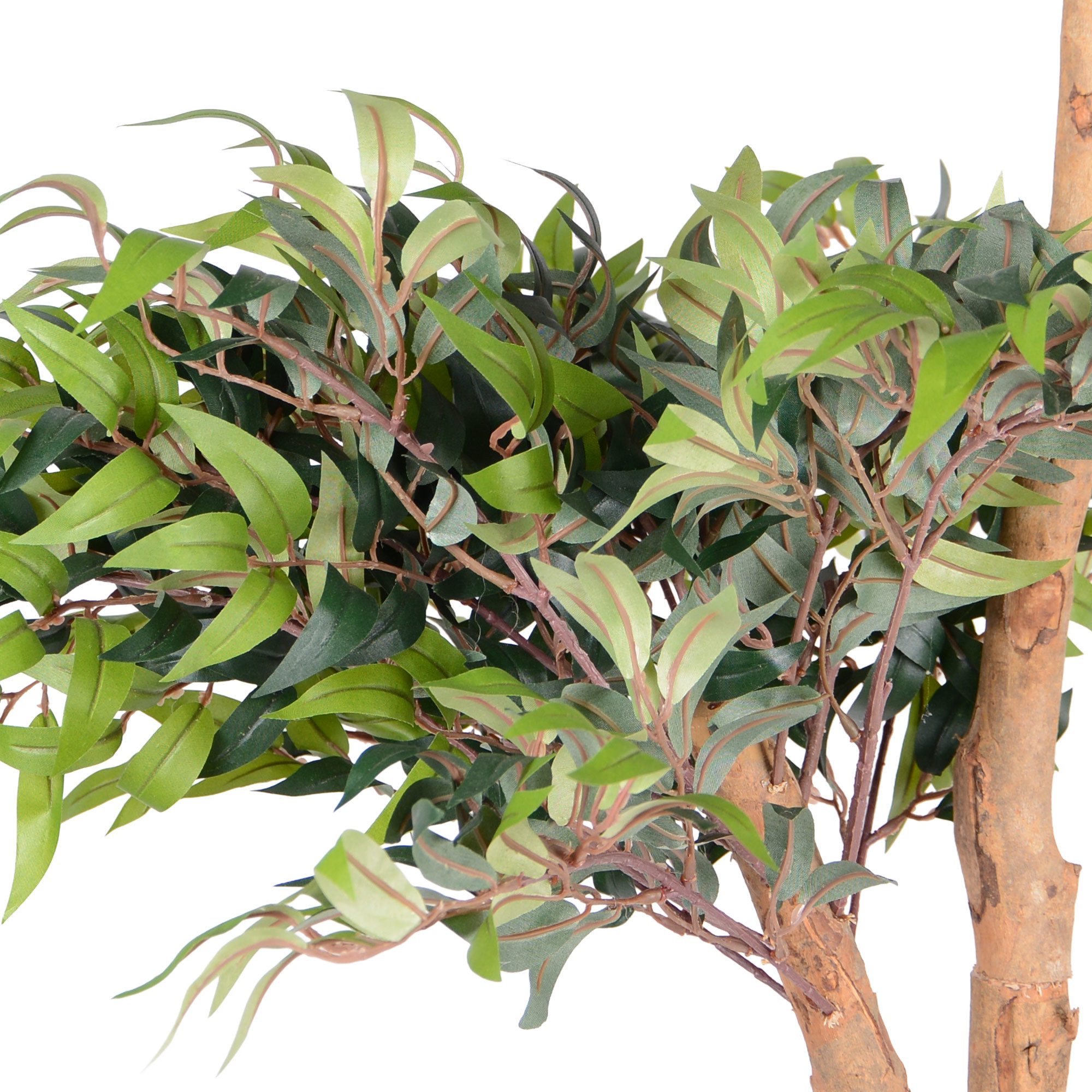 Kunstpflanze Kunstpflanze Ficus mit Echtholzstamm, UNUS HOME, Höhe 80 cm, Künstlicher Baum groß, Kunststoffpflanze