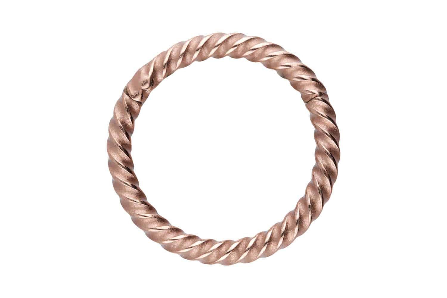 PIERCINGLINE Nasenpiercing Chirurgenstahl Segmentring Clicker GEDREHT Ohrpi günstig online kaufen