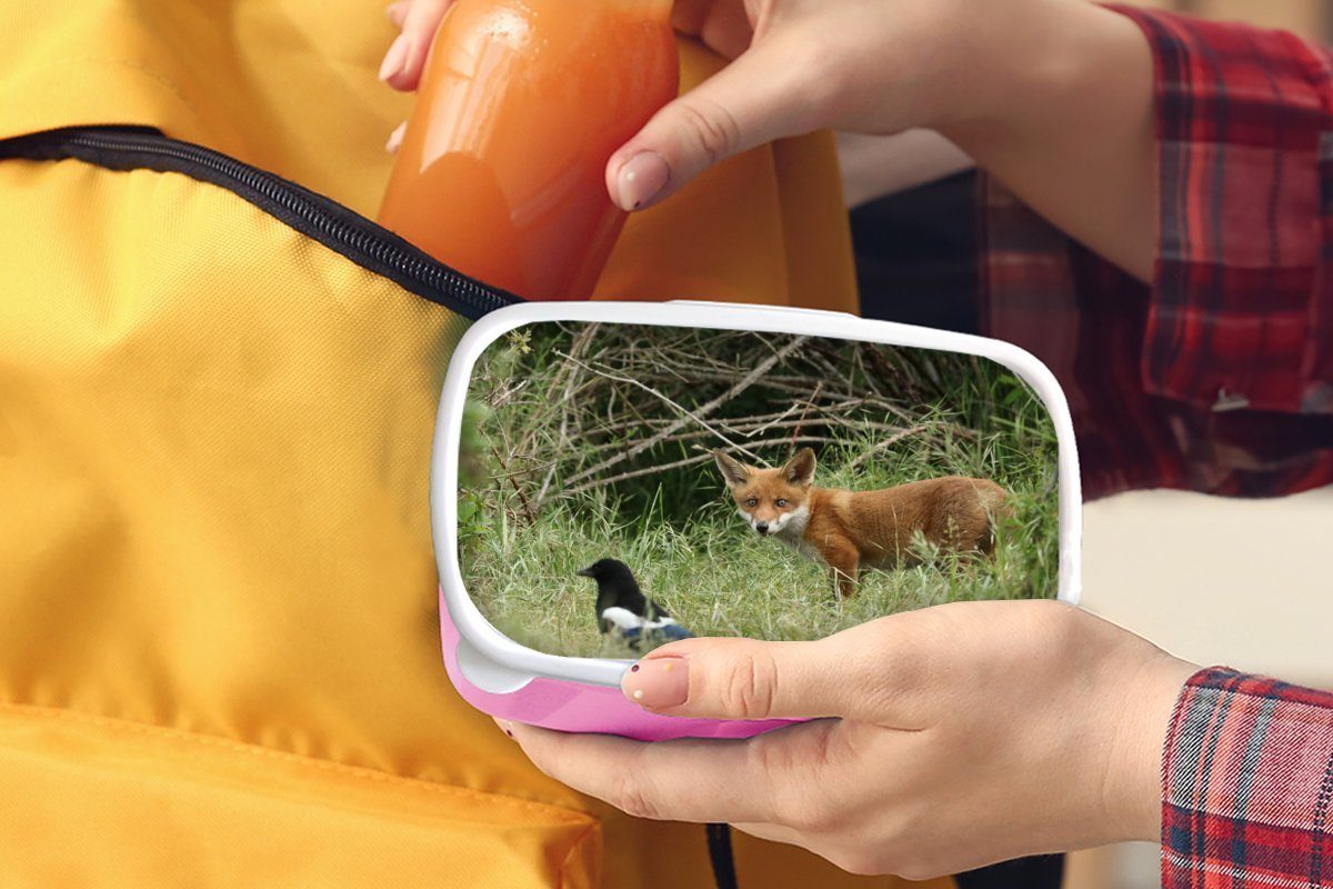 (2-tlg), rosa Erwachsene, Fuchs, Kunststoff, Kinder, Vogel Mädchen, Snackbox, - für Brotbox Kunststoff Tiere - Brotdose MuchoWow Lunchbox