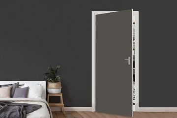 MuchoWow Türtapete Grau - Farben - Einfarbig, Matt, bedruckt, (1 St), Fototapete für Tür, Türaufkleber, 75x205 cm