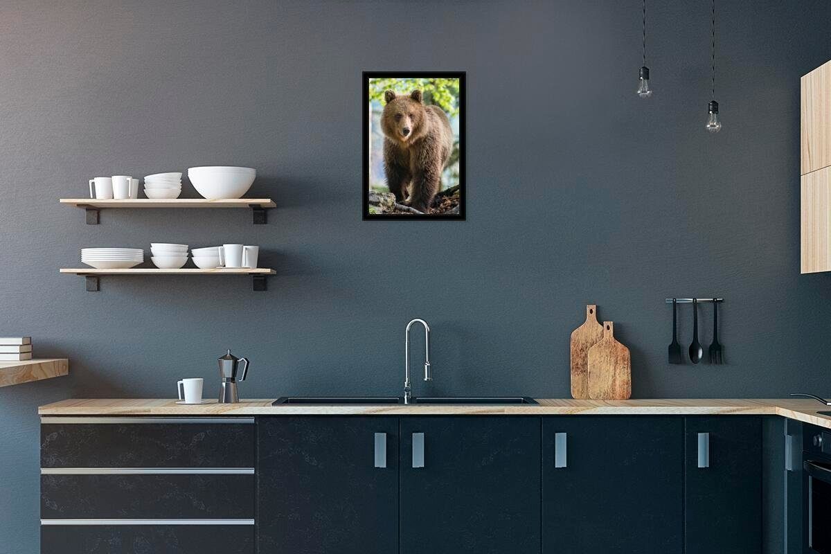 Poster Bär - Braun - Wald