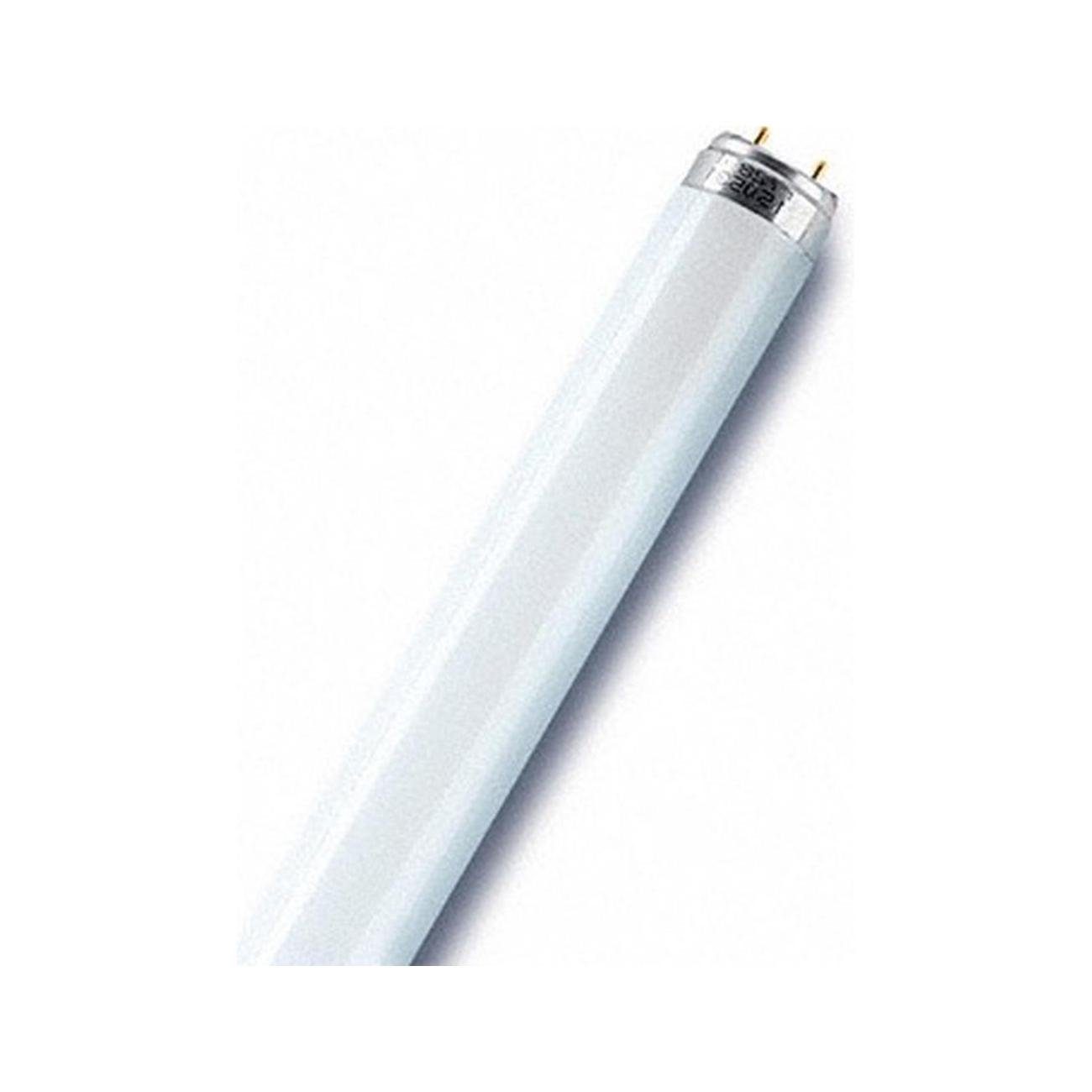 Ledvance LED-Leuchte »LEDVANCE Leuchtstofflampe 30W nws LUMILUX 4000K A«  online kaufen | OTTO