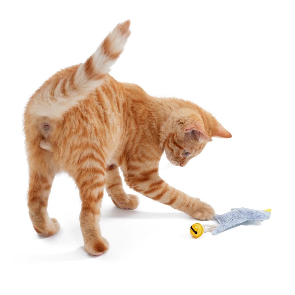 Piupet Outdoor-Spielzeug Katzenspielzeug 4er Set I günstig online kaufen