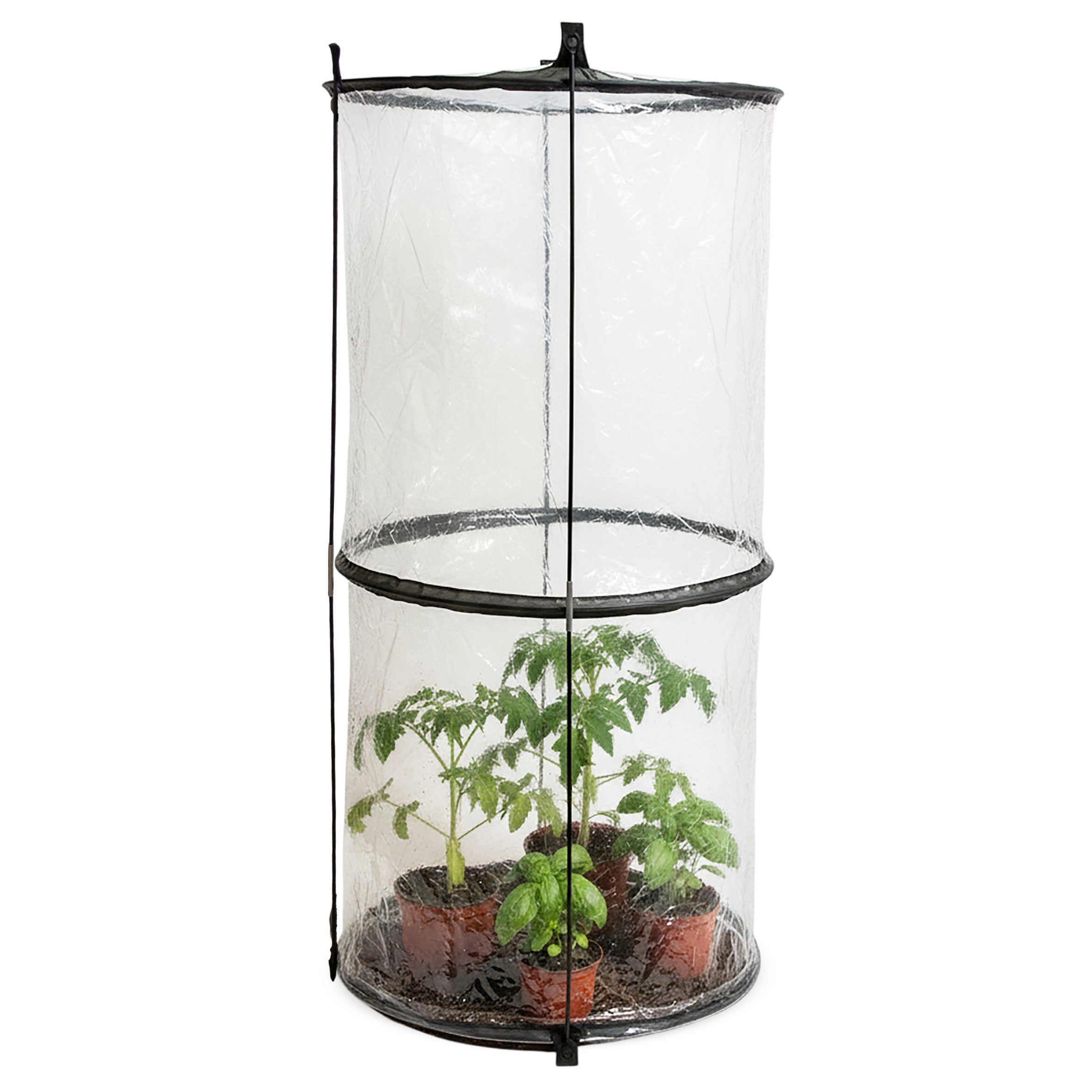Spetebo Foliengewächshaus Pop-Up Gewächshaus, 1, Stück, Garten Treibhaus für Gemüse