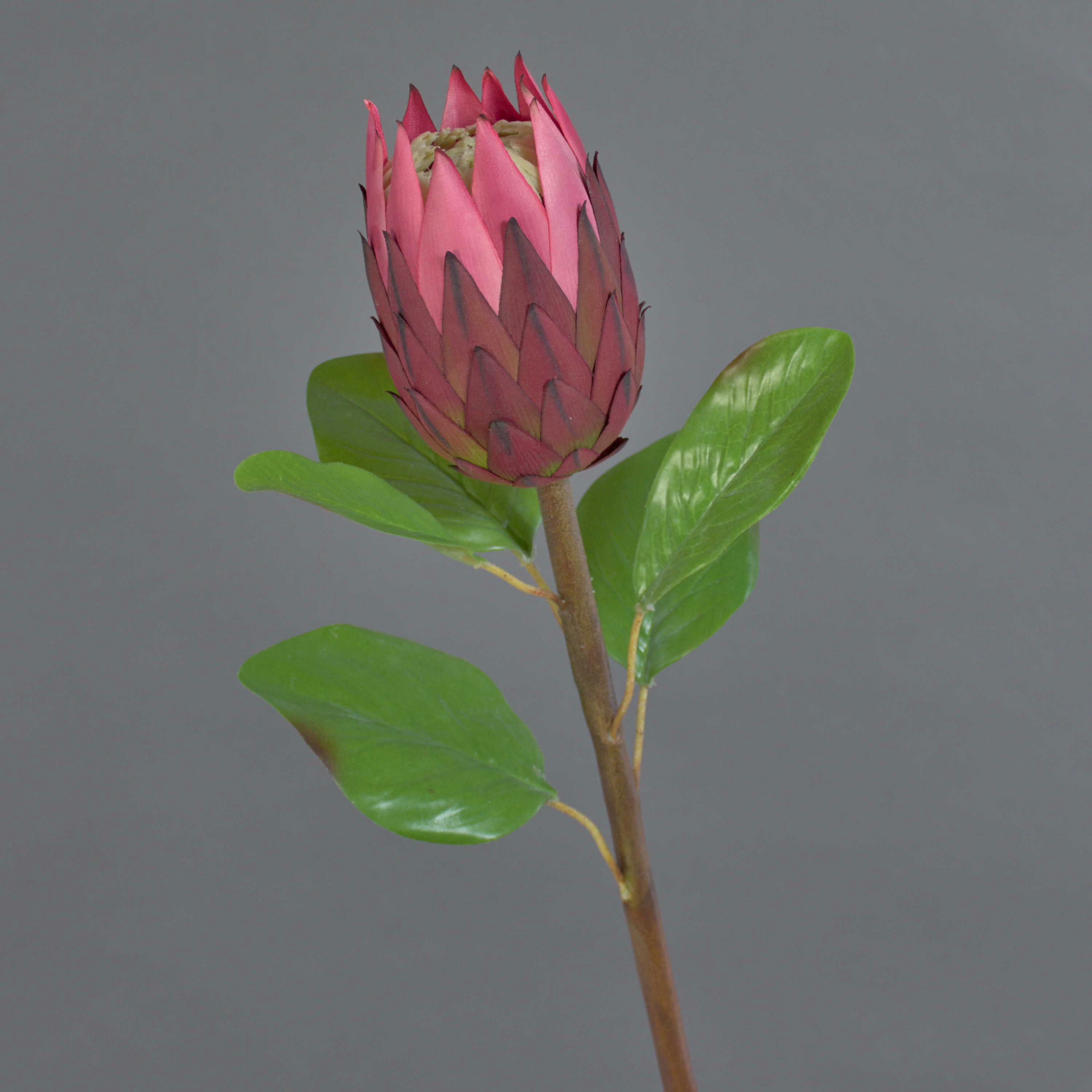 Kunstblume Dekoblume Protea AZHEN, violett, 65 cm Protea (Nadelkissen Protea), artplants, Höhe 65.0 cm
